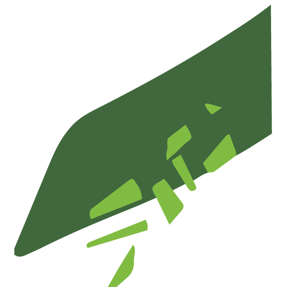 Close-up of a green and black utility knife blade with a partially extended sharp edge.