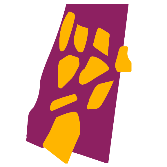 A simplified map outline of the state of Nevada, with the counties highlighted in yellow against a purple background.