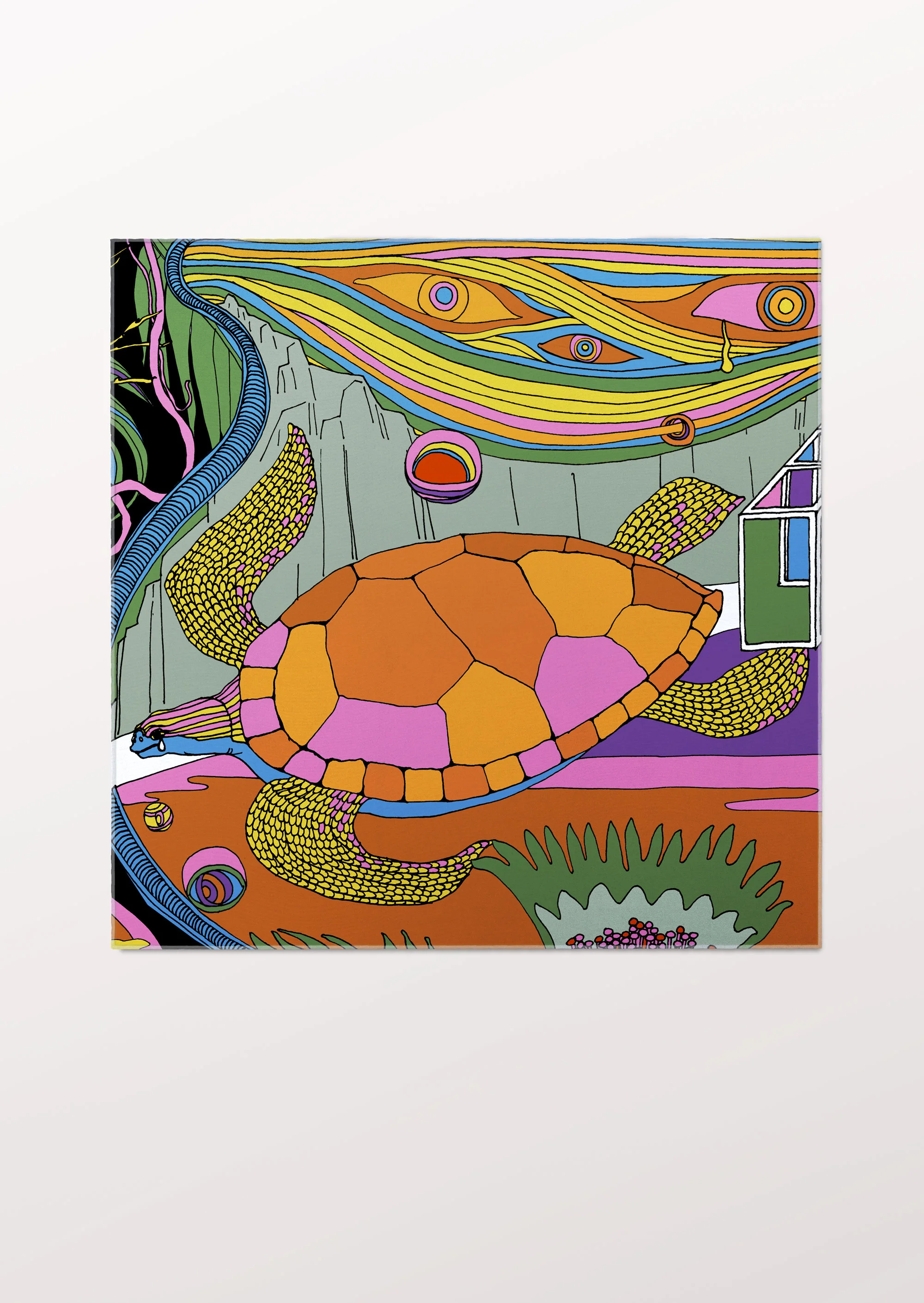 turtle-02.jpg