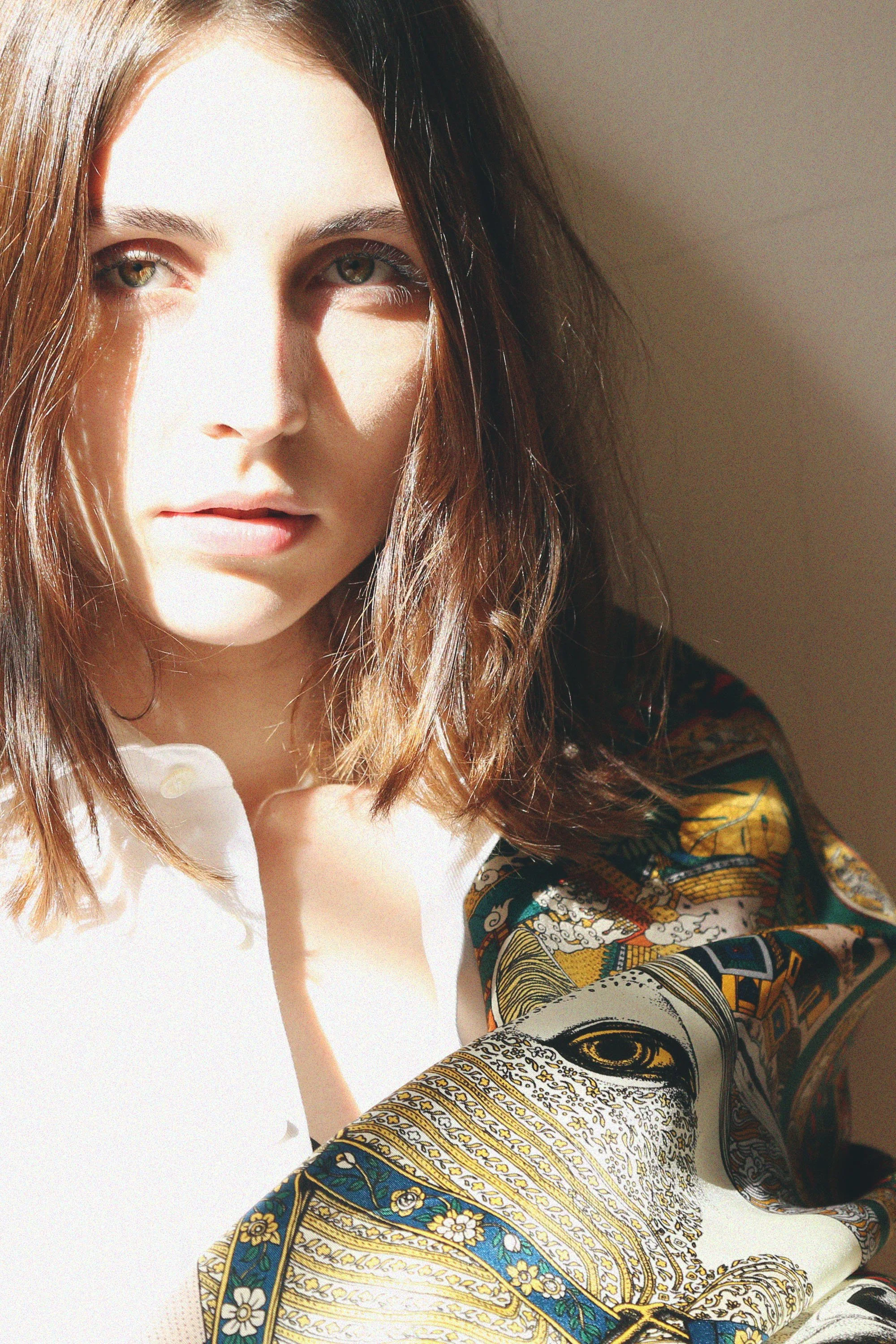 horse KV copy blue.jpg