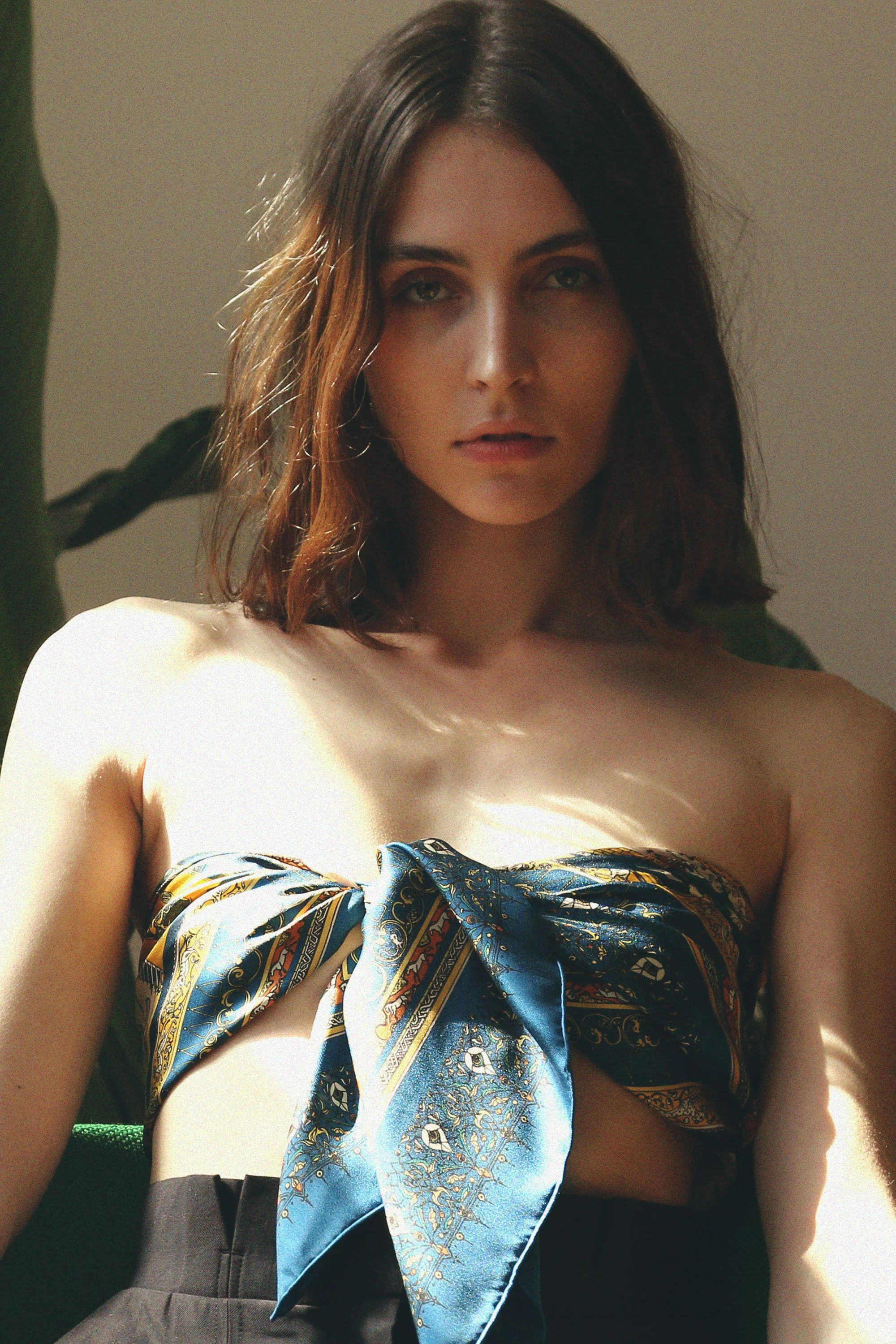 horse KV copy blue 2.jpg