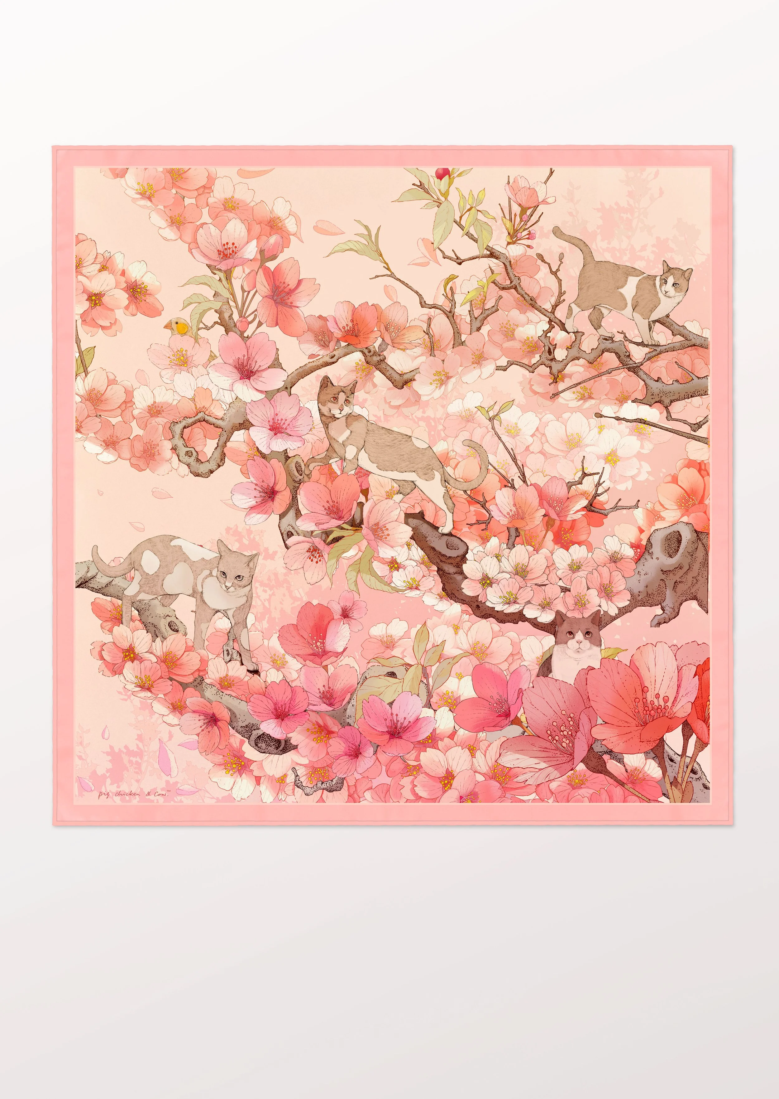 Hide and Seek / Pink