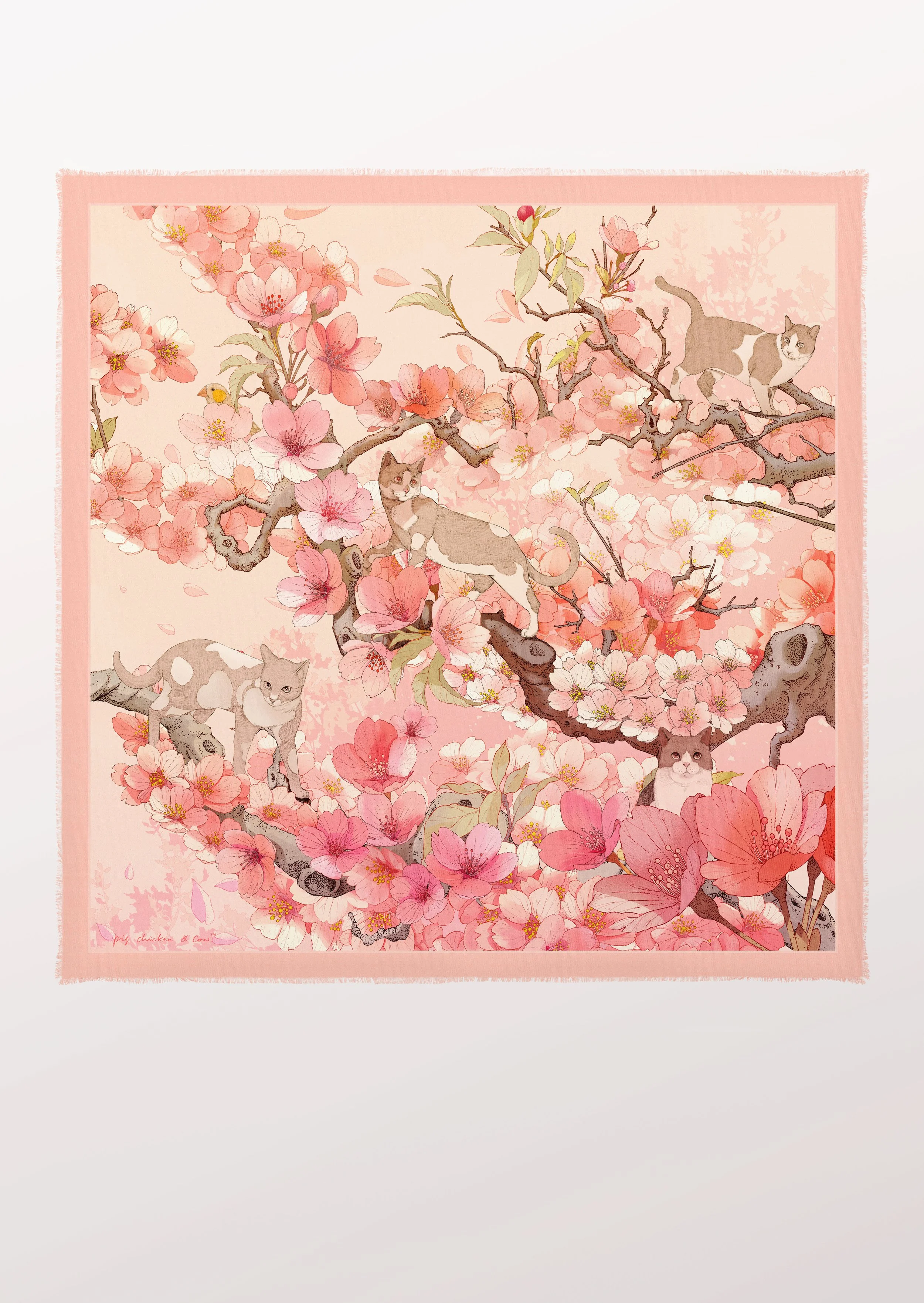 Hide and Seek / Pink Cashmere Silk