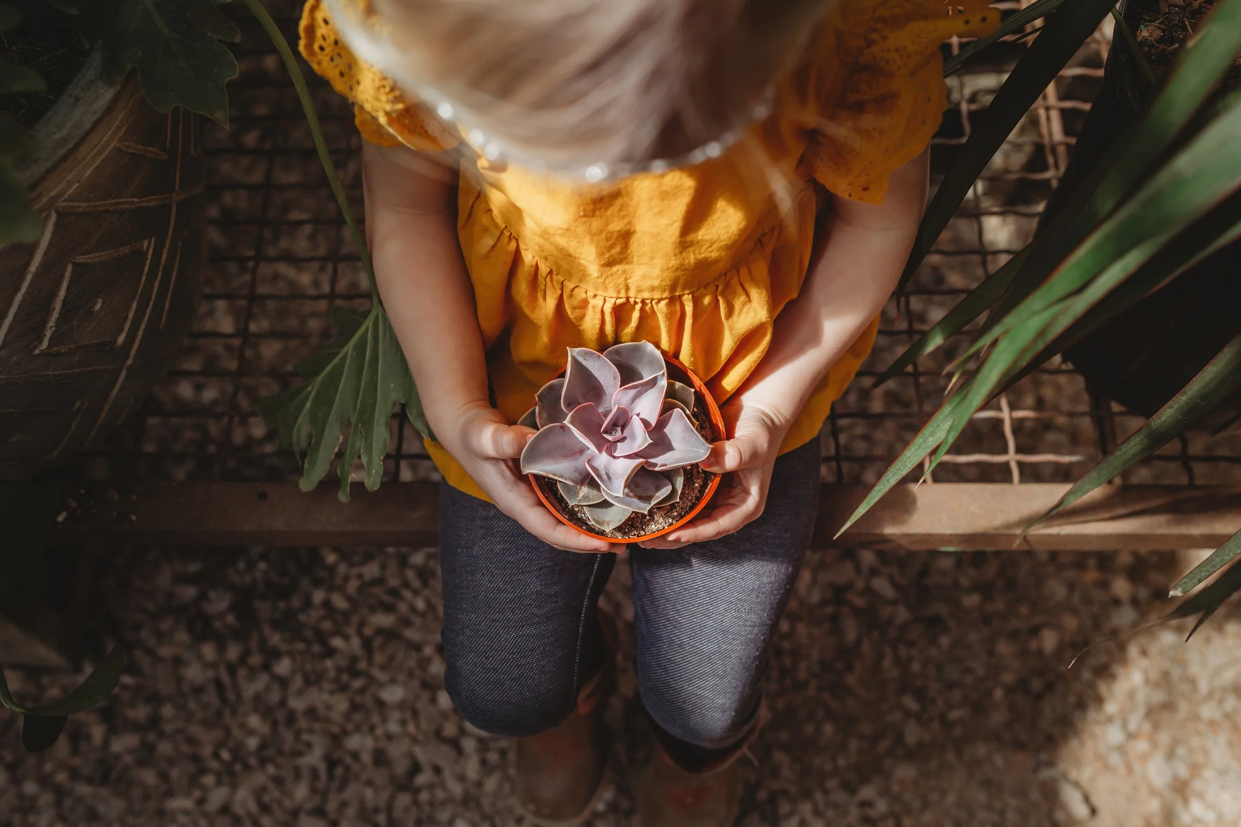 Toddler-sitting-garden-child-led-colorado-springs-plant.jpg
