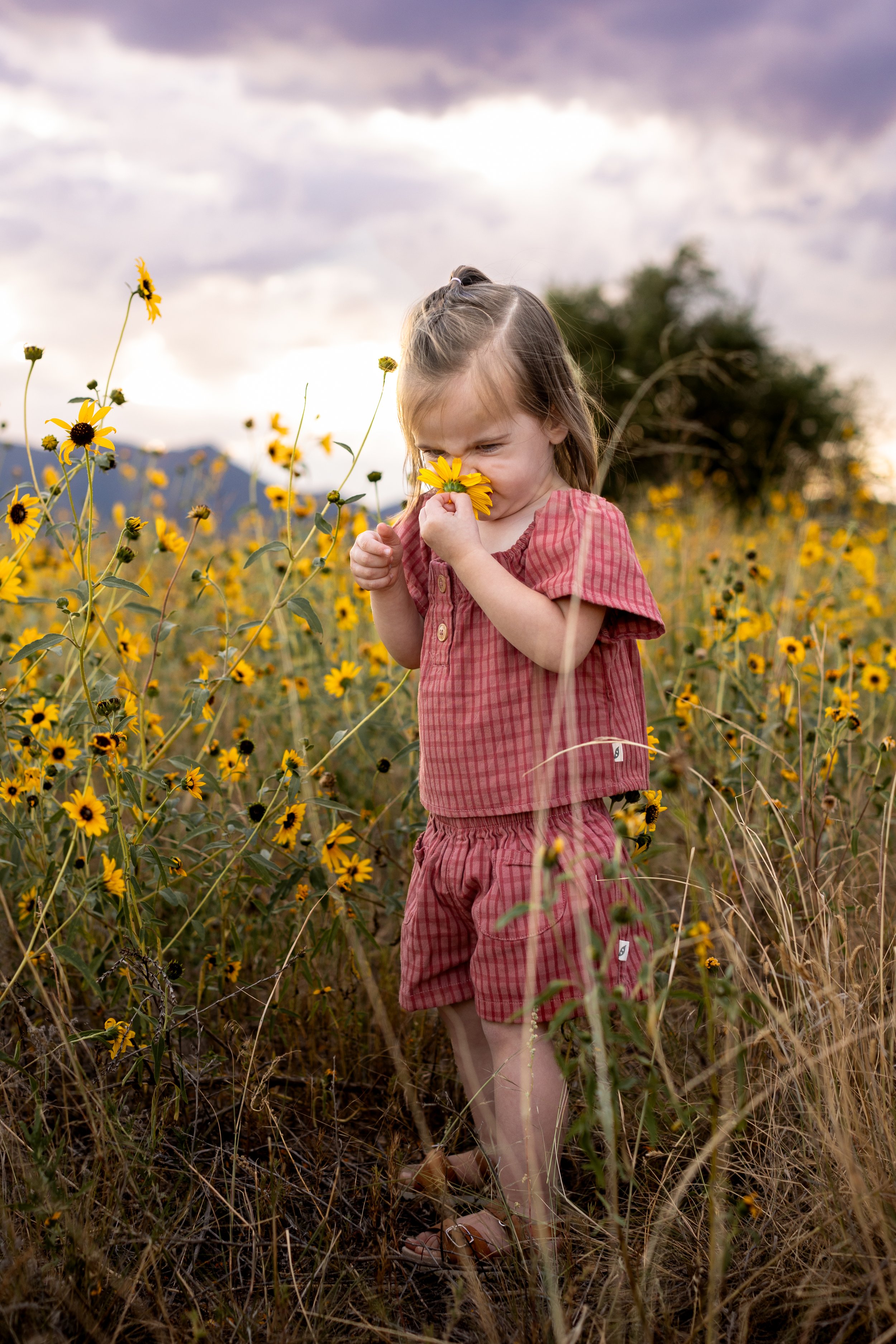 Biedron Family Sunflowers 2023-12.jpg