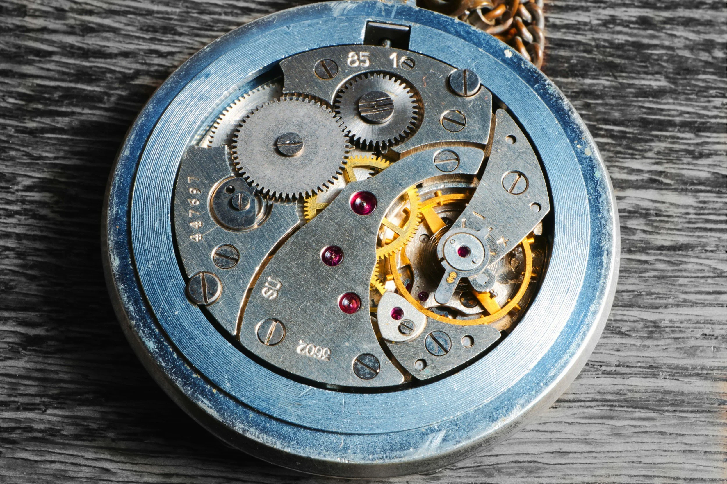 open back of a watch displays the inner mechanics