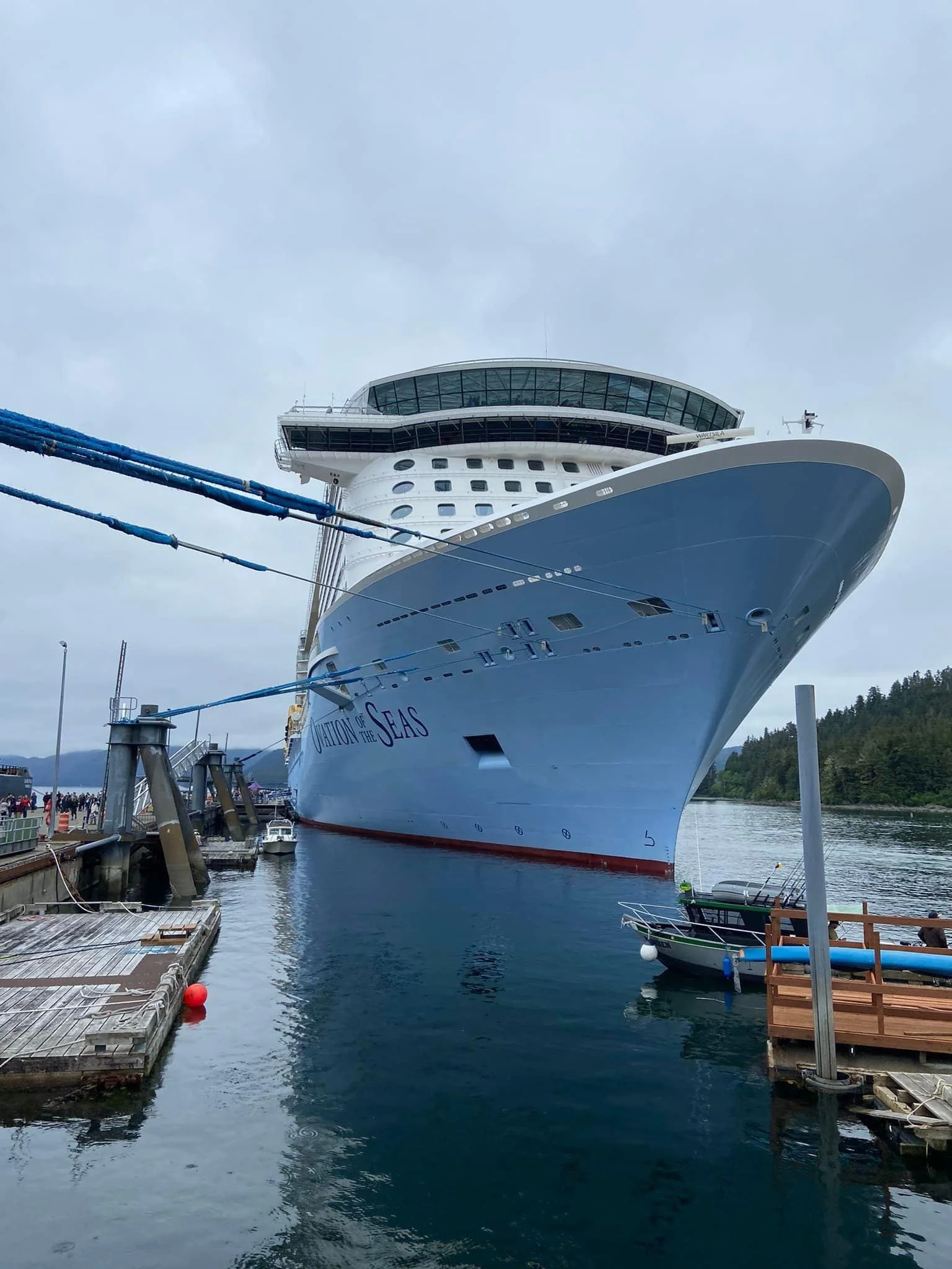 The Cruise We Didn’t Take - and the Love That Still Set Sail 🚢