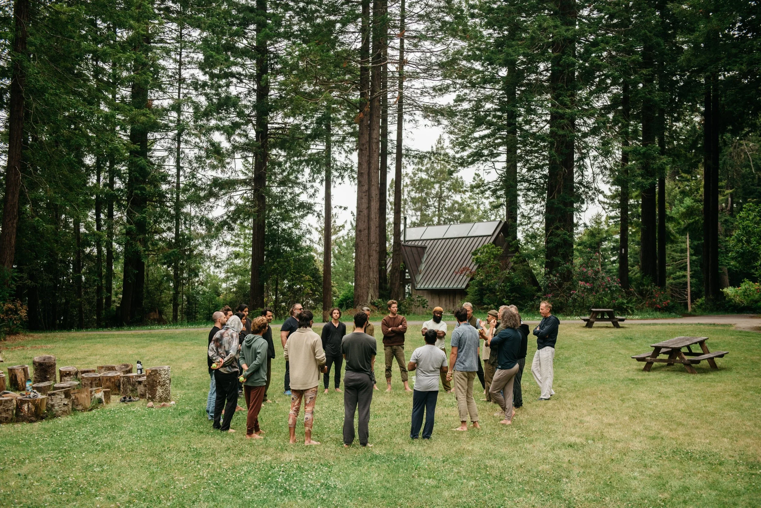 Board Engagement & Governance Development