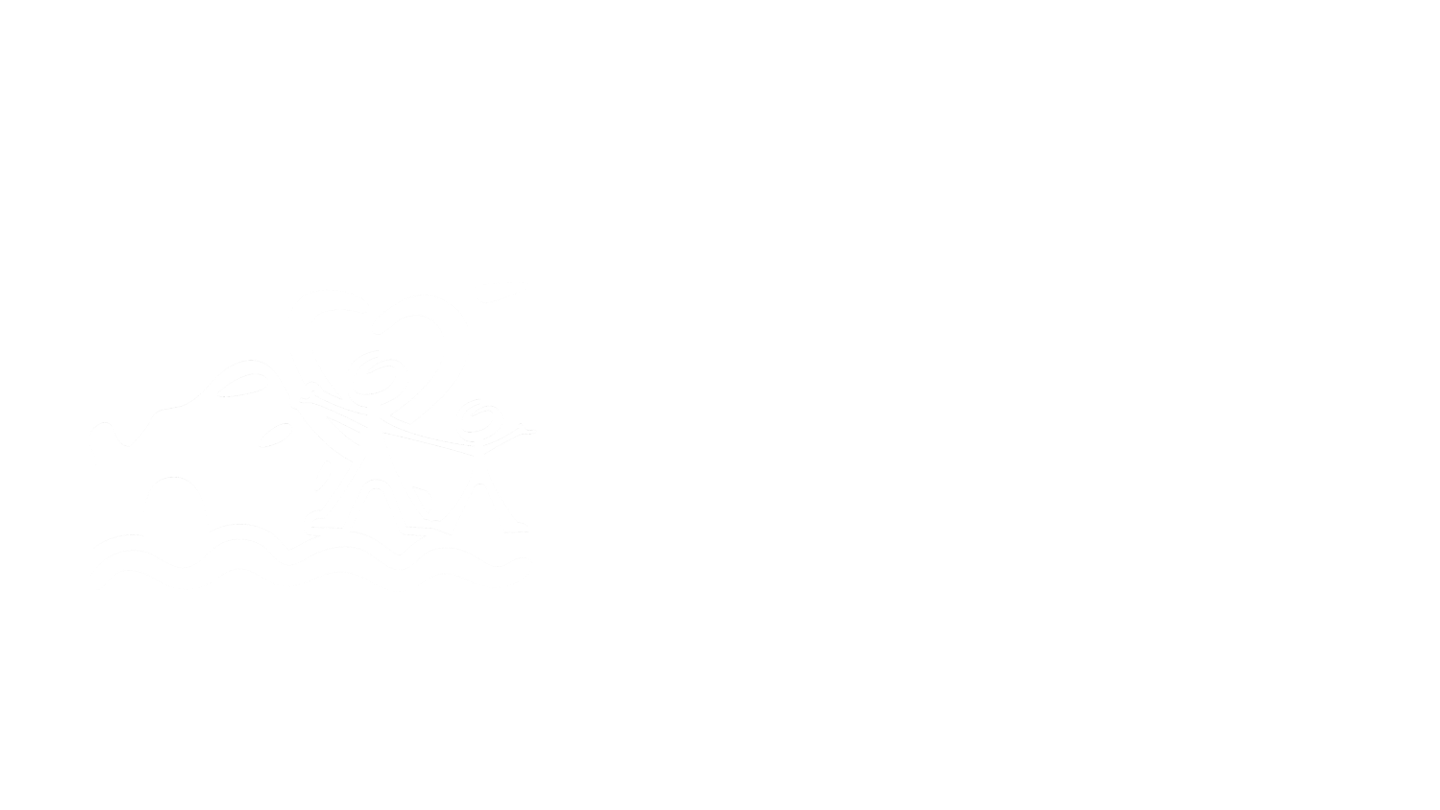 14.png