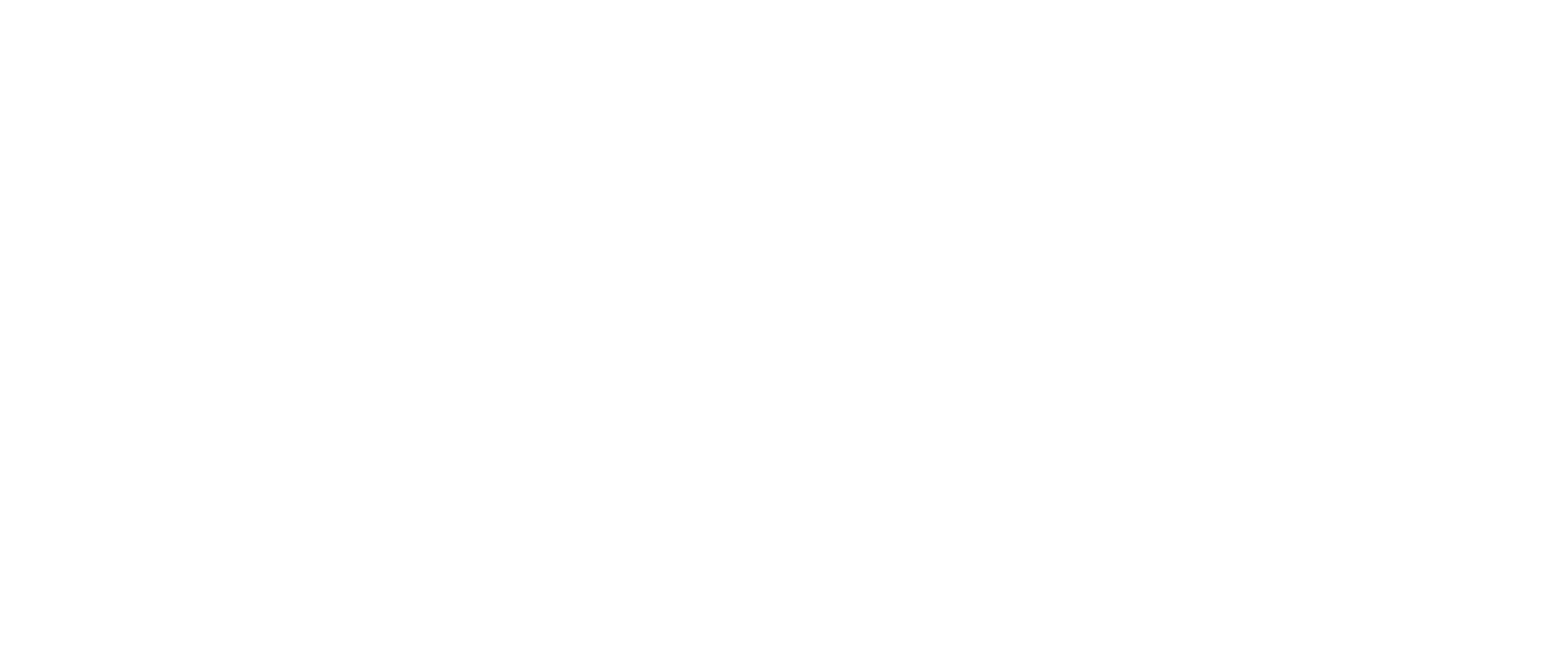 Juju Photography | Tampa Wedding Photographer