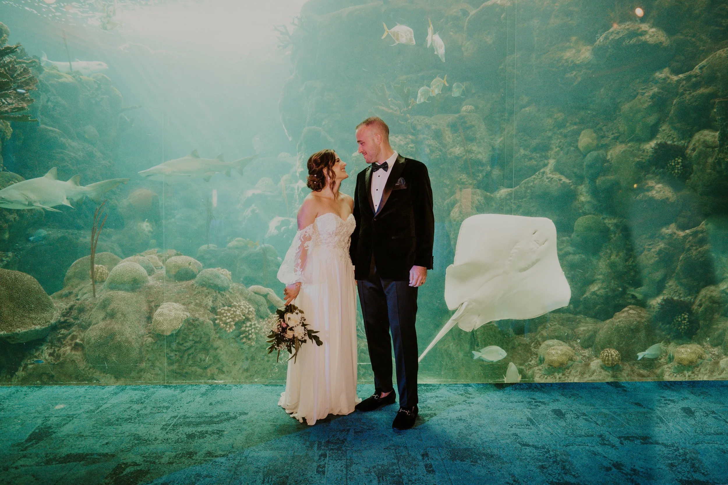 couple kissing in front of aquarium tank Tampa wedding photographer
