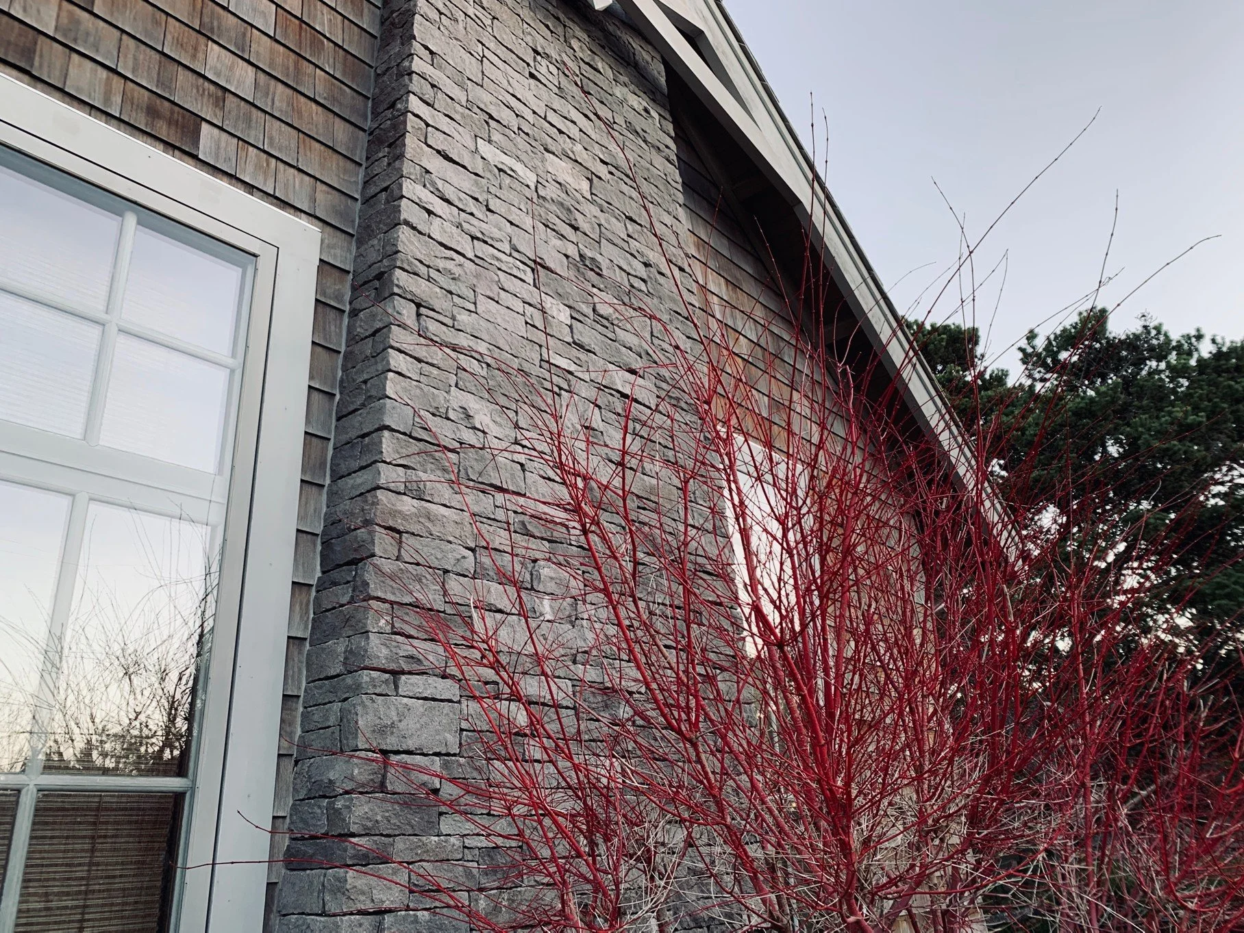 Screenshot 2026-03-08 174446.jpg