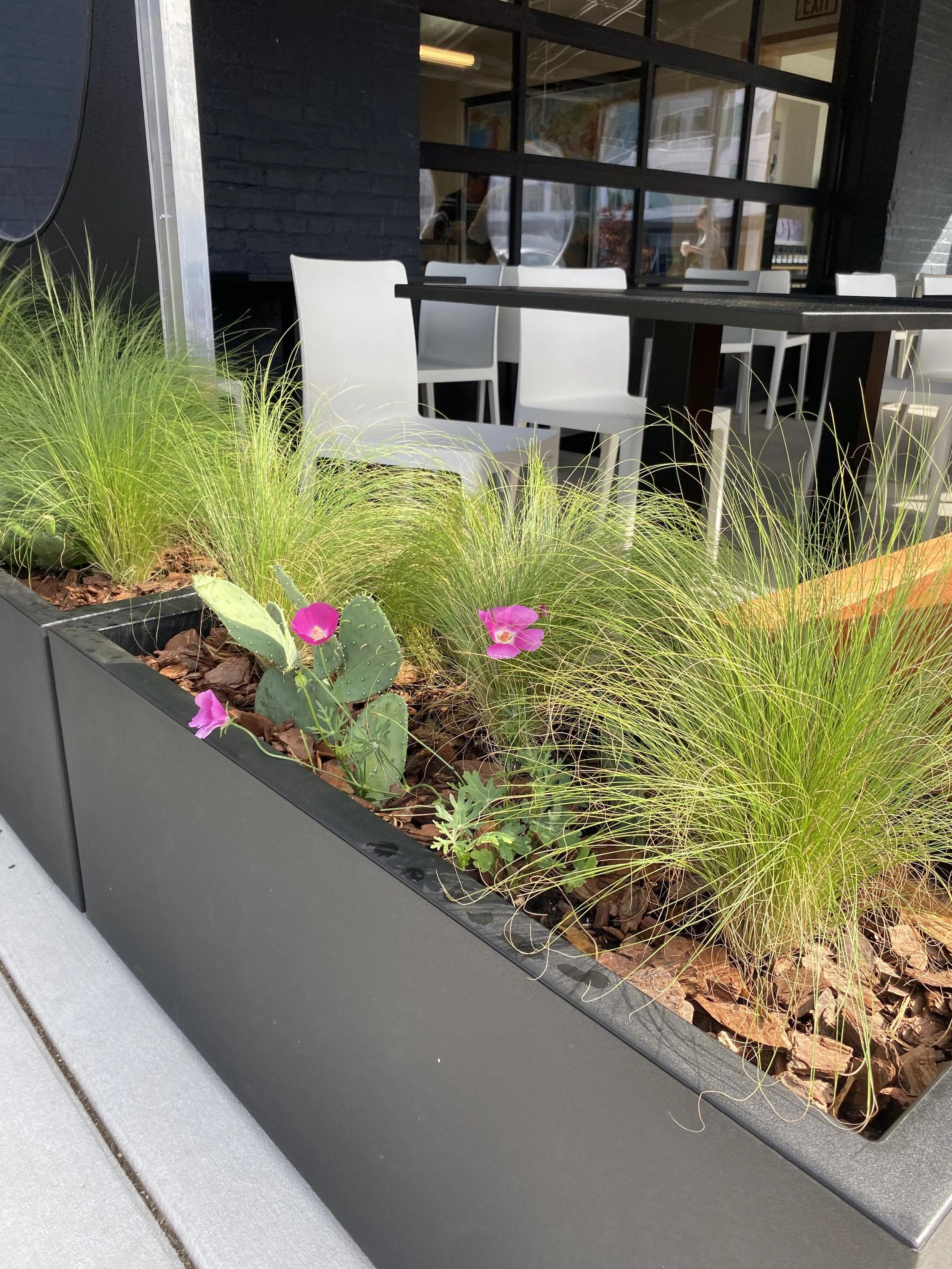 Lush seasonal outdoor planter arrangement designed and installed by Green Heron Garden Co. for a Richmond Virginia residential or commercial space
