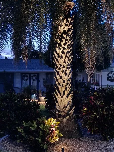 ssl-landscape-lighting-2026-06-15-13.webp