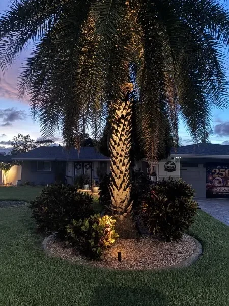 ssl-landscape-lighting-2026-06-15-14.webp