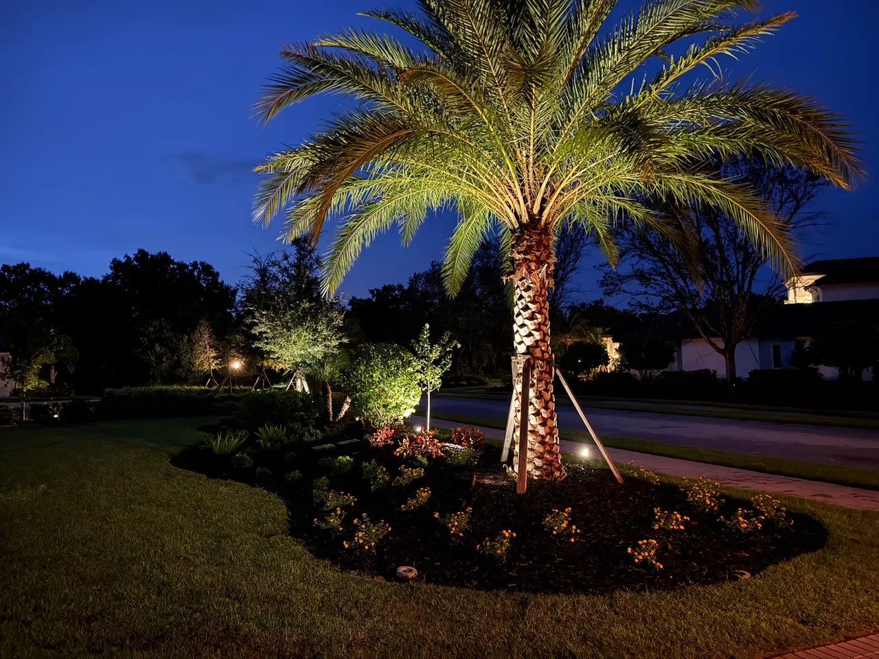 landscape_lighting_at_night_ssl-website-images-520.webp