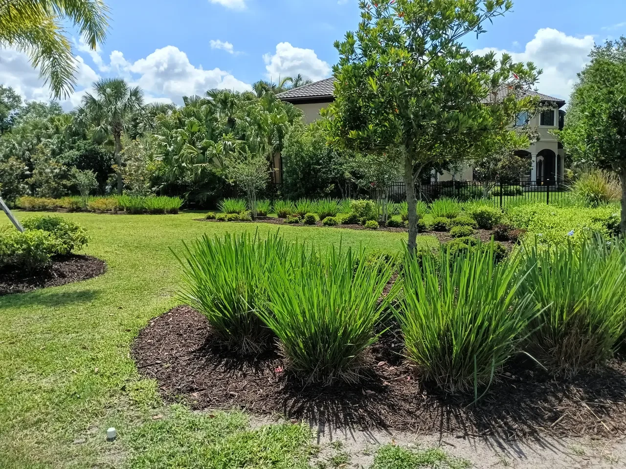 landscape_design_ssl-image-batch-2026-05-14-13.webp