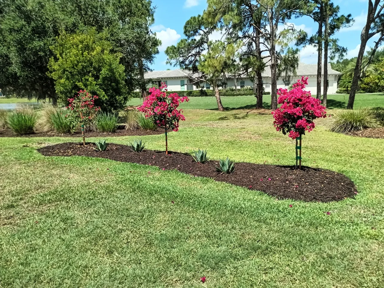 landscape_design_ssl-image-batch-2026-05-14-10.webp