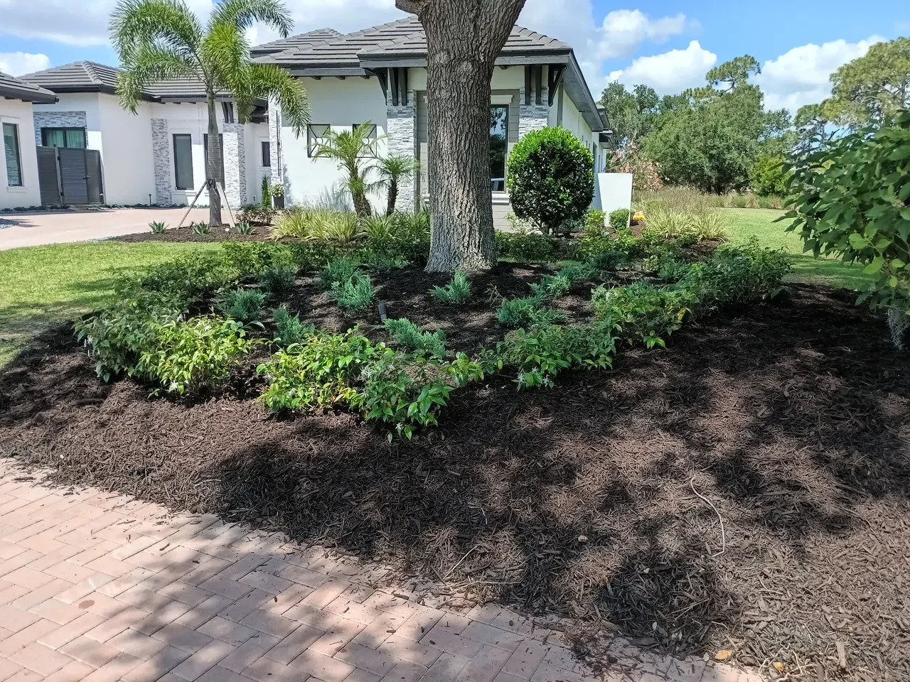 landscape_design_ssl-image-batch-2026-05-14-4.webp