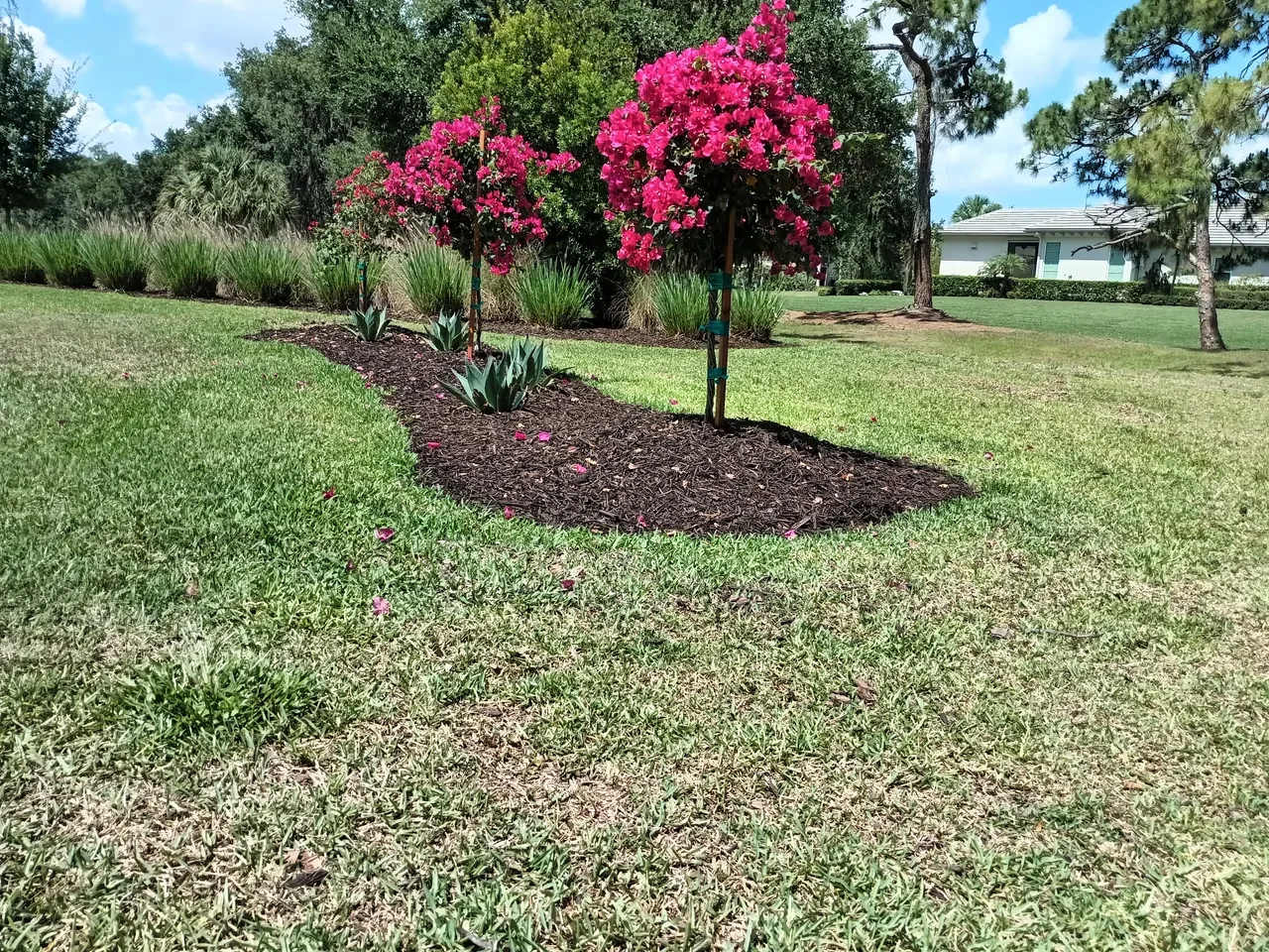 landscape_design_ssl-image-batch-2026-05-14-9.webp