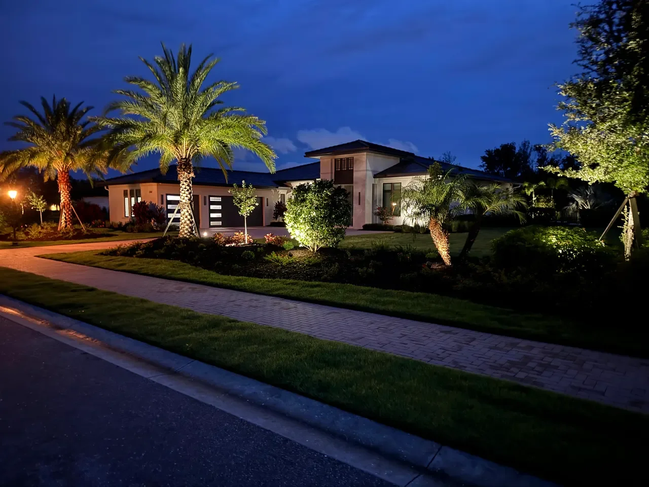 landscape_lighting_at_night_ssl-website-images-518.webp
