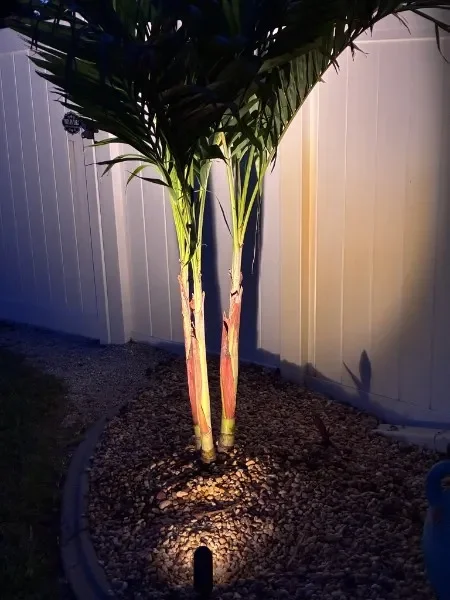 ssl-landscape-lighting-2026-06-15-12.webp