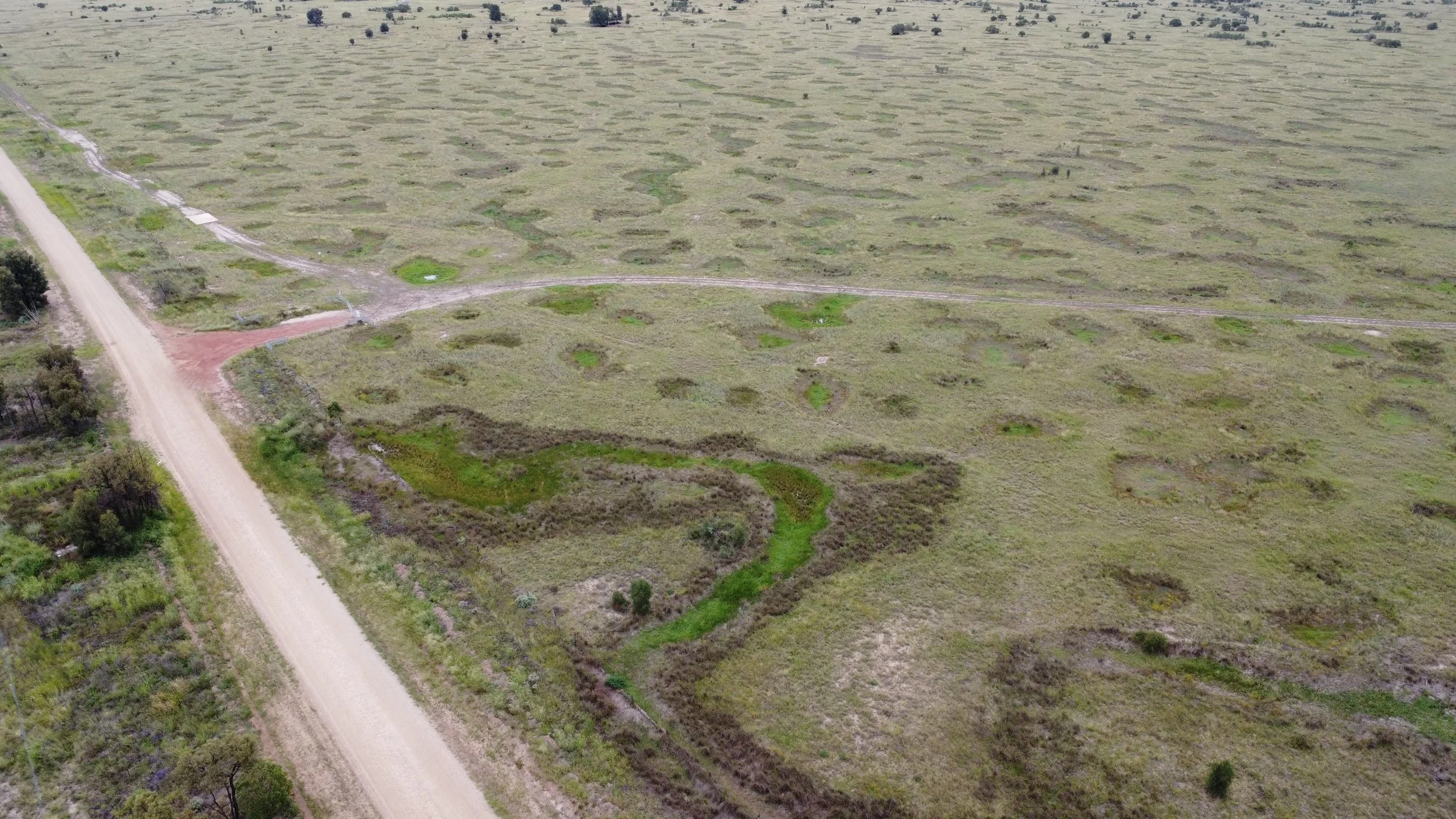 DJI_0225.JPG