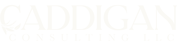 Caddigan Consulting LLC