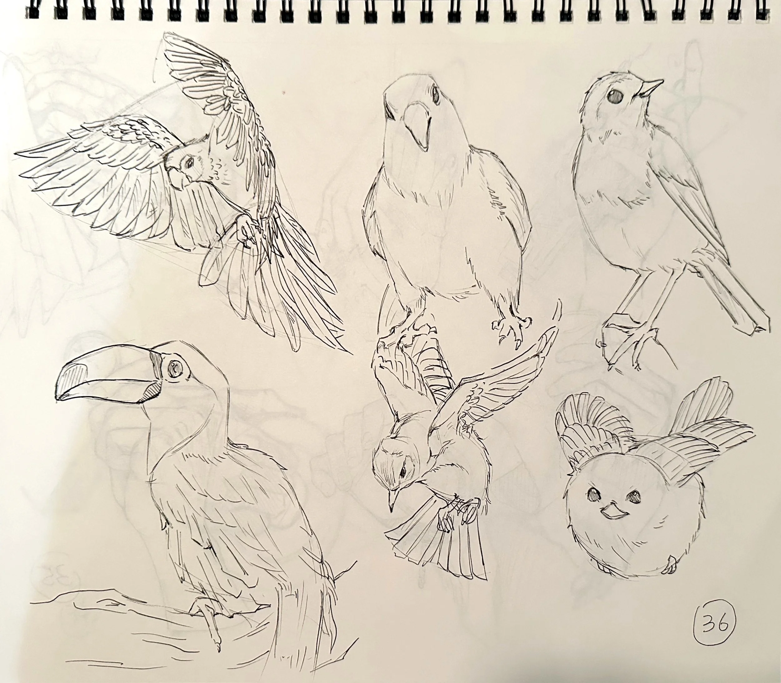 扫描全能王 2025-04-18 21.14_6.jpeg