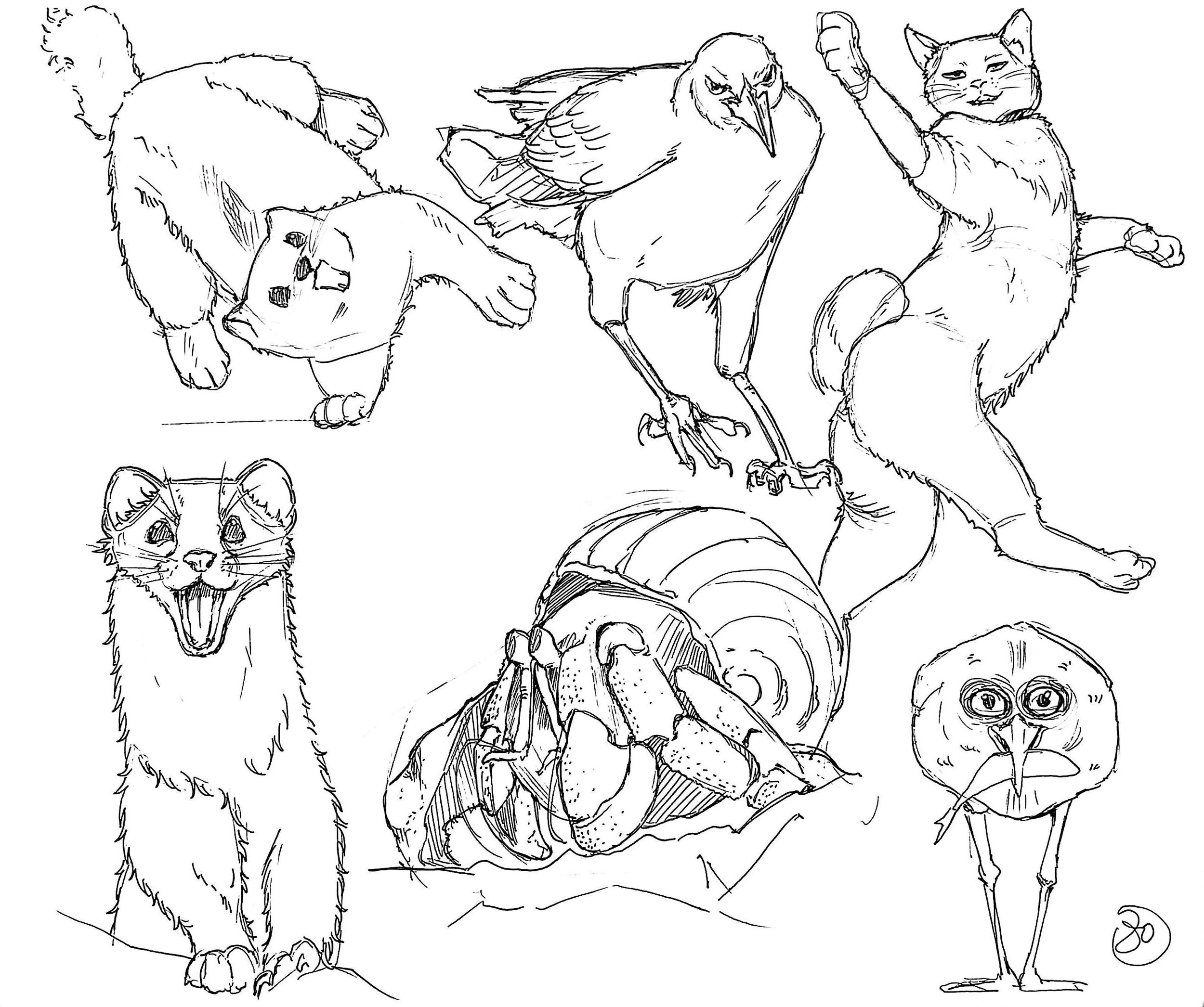 扫描全能王 2025-05-17 00.21_10.jpeg
