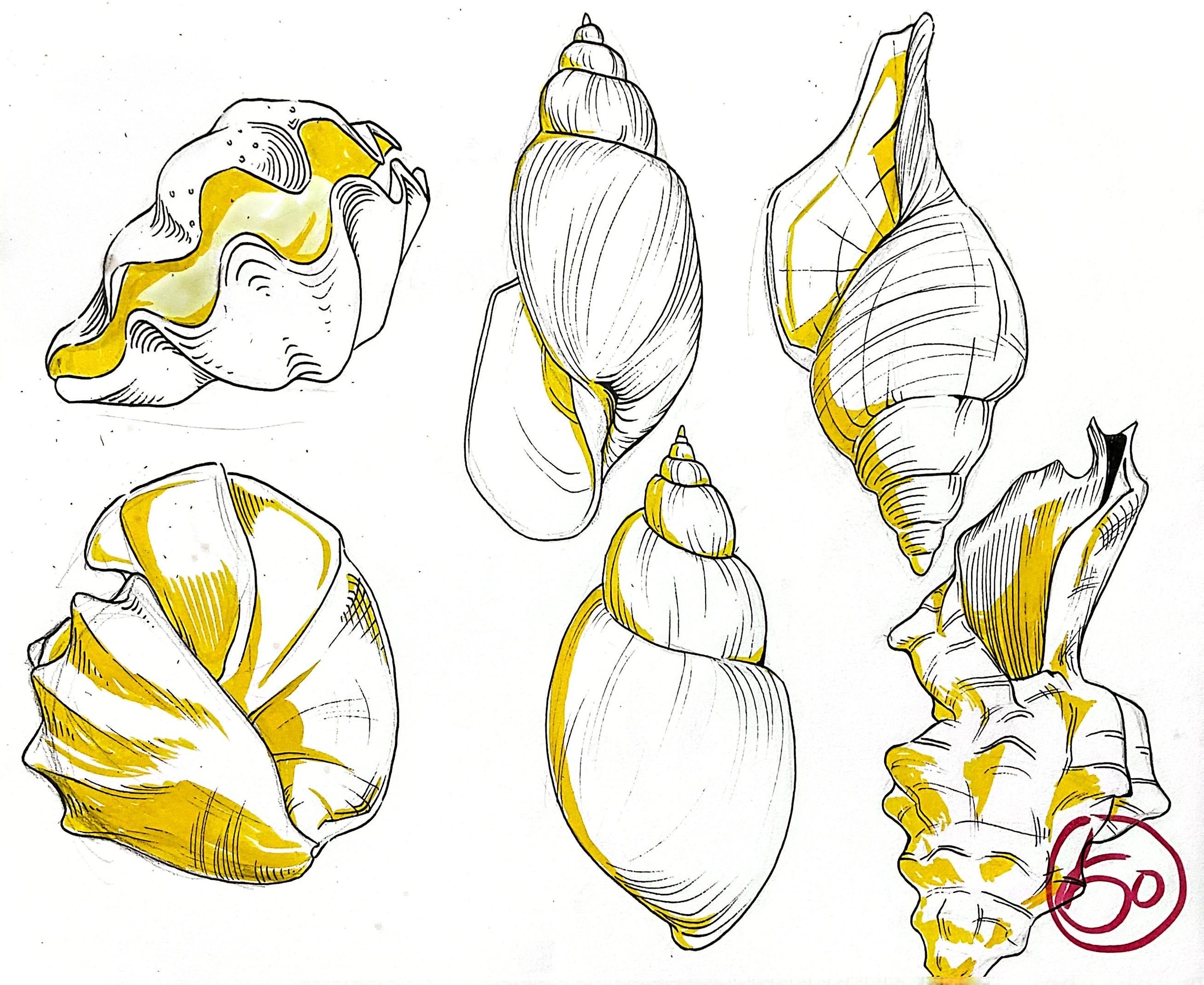 扫描全能王 2025-11-13 04.04_9.jpeg