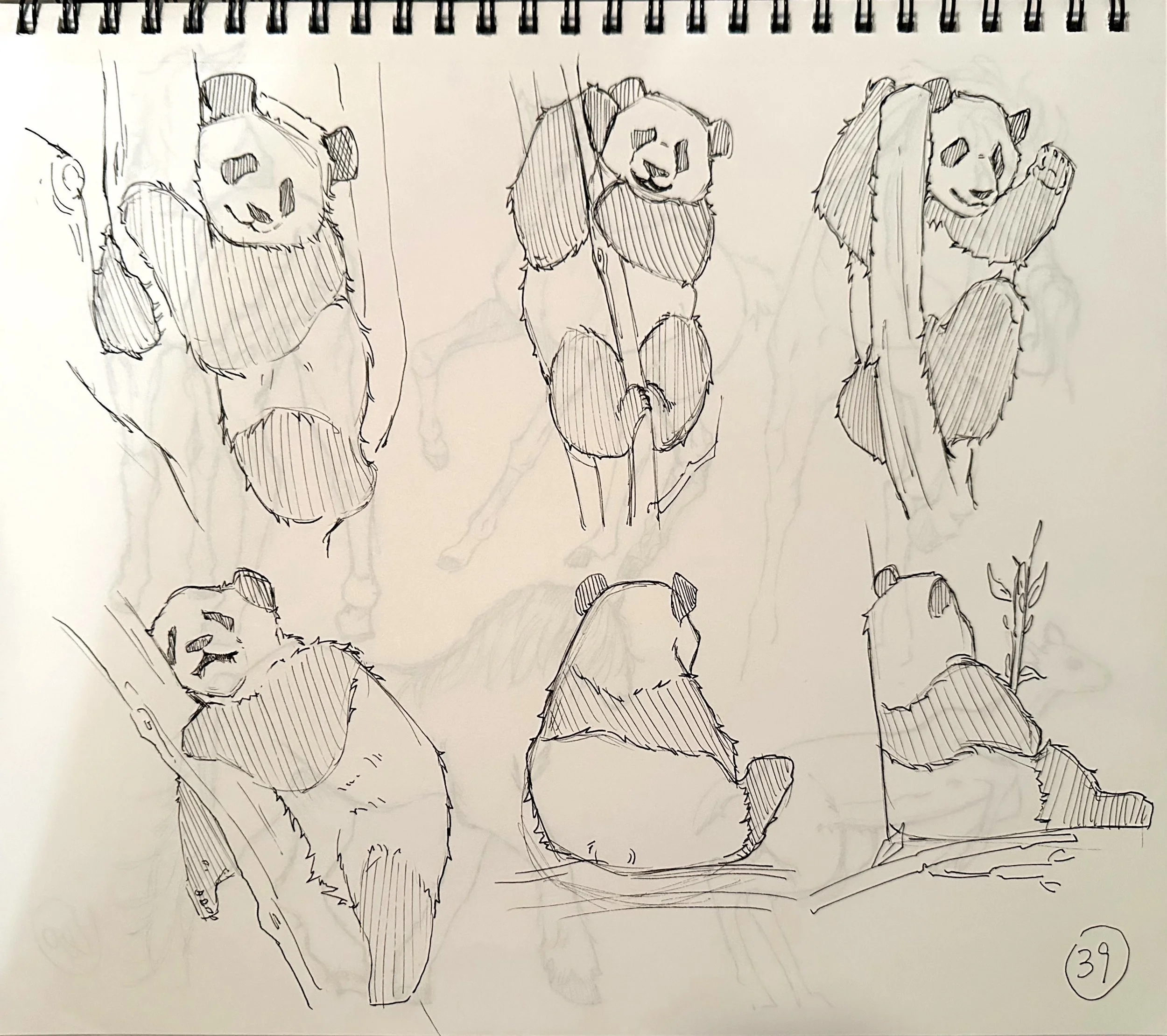 扫描全能王 2025-04-18 21.14_9.jpeg