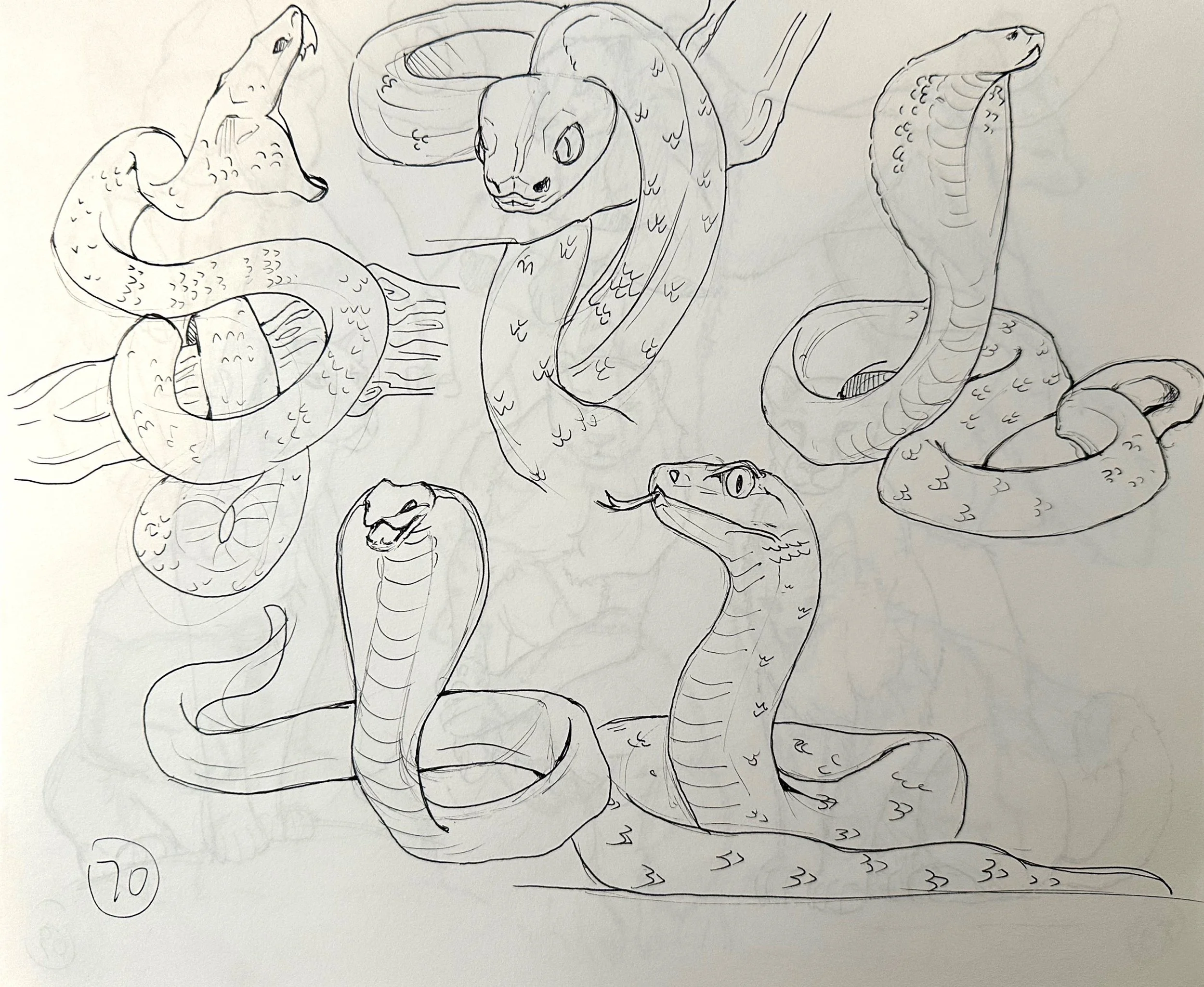 扫描全能王 2025-05-11 22.20_10.jpeg