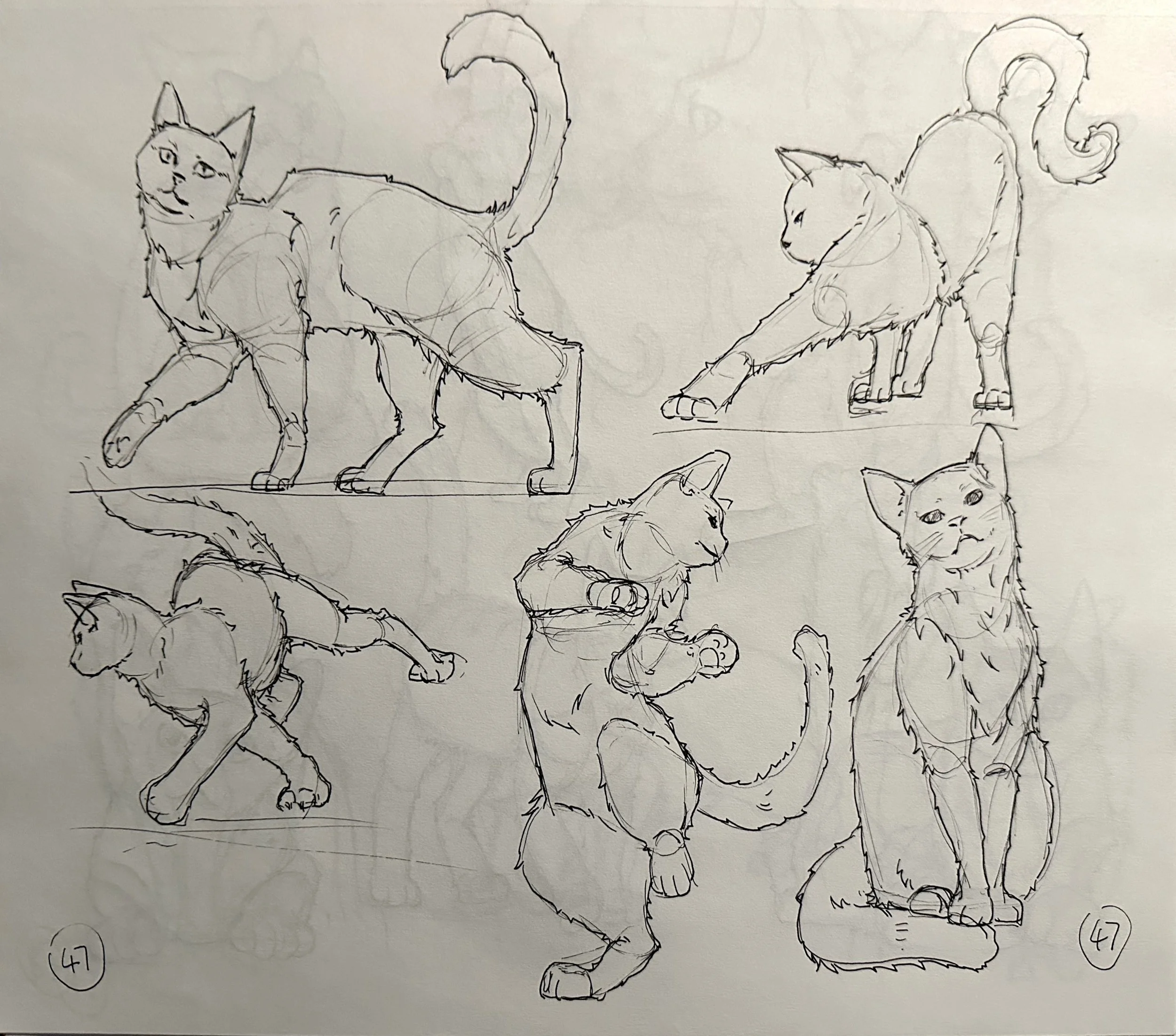 扫描全能王 2025-04-26 17.08_7.jpeg