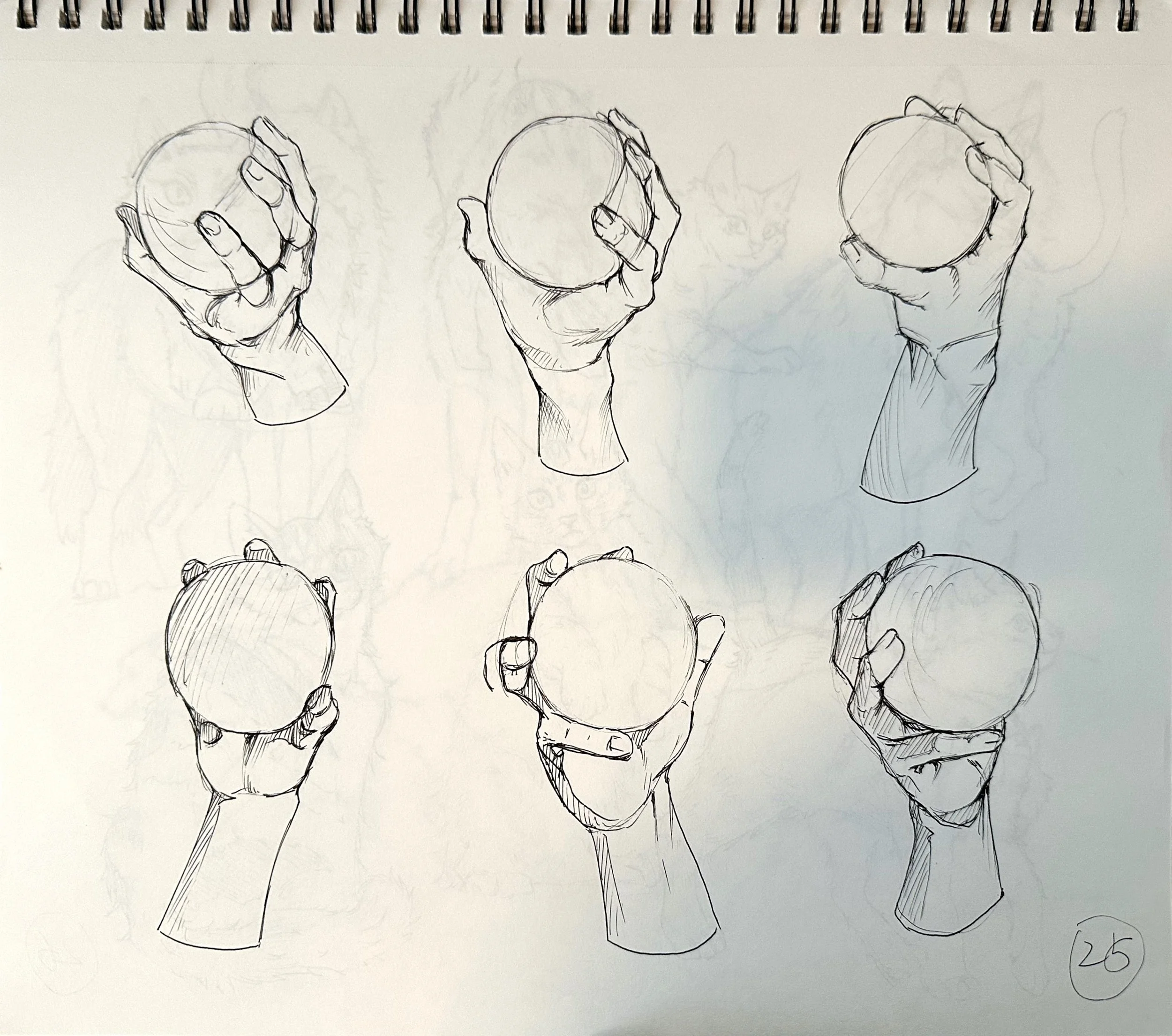 扫描全能王 2025-04-15 03.17_5.jpeg