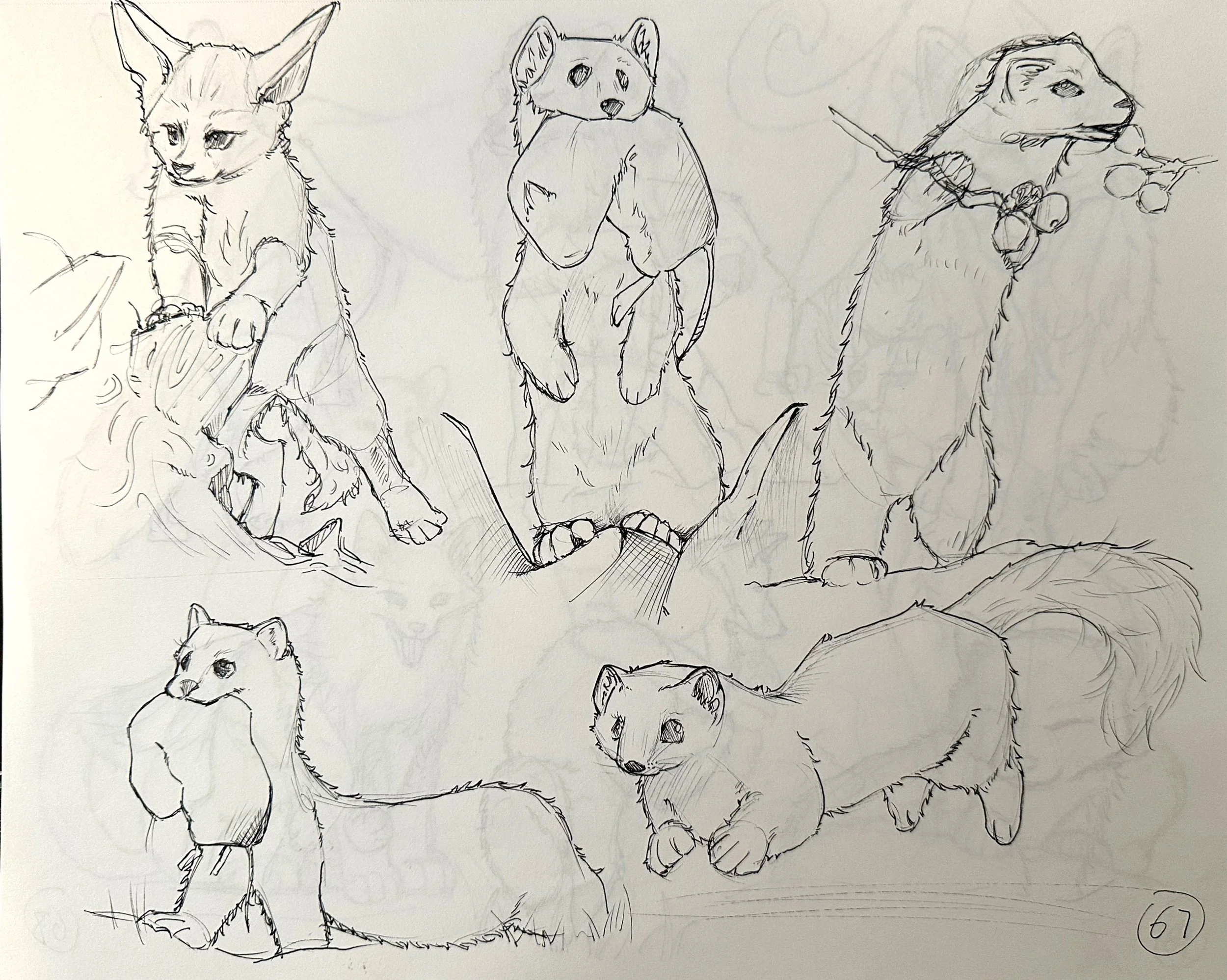 扫描全能王 2025-05-11 22.20_7.jpeg