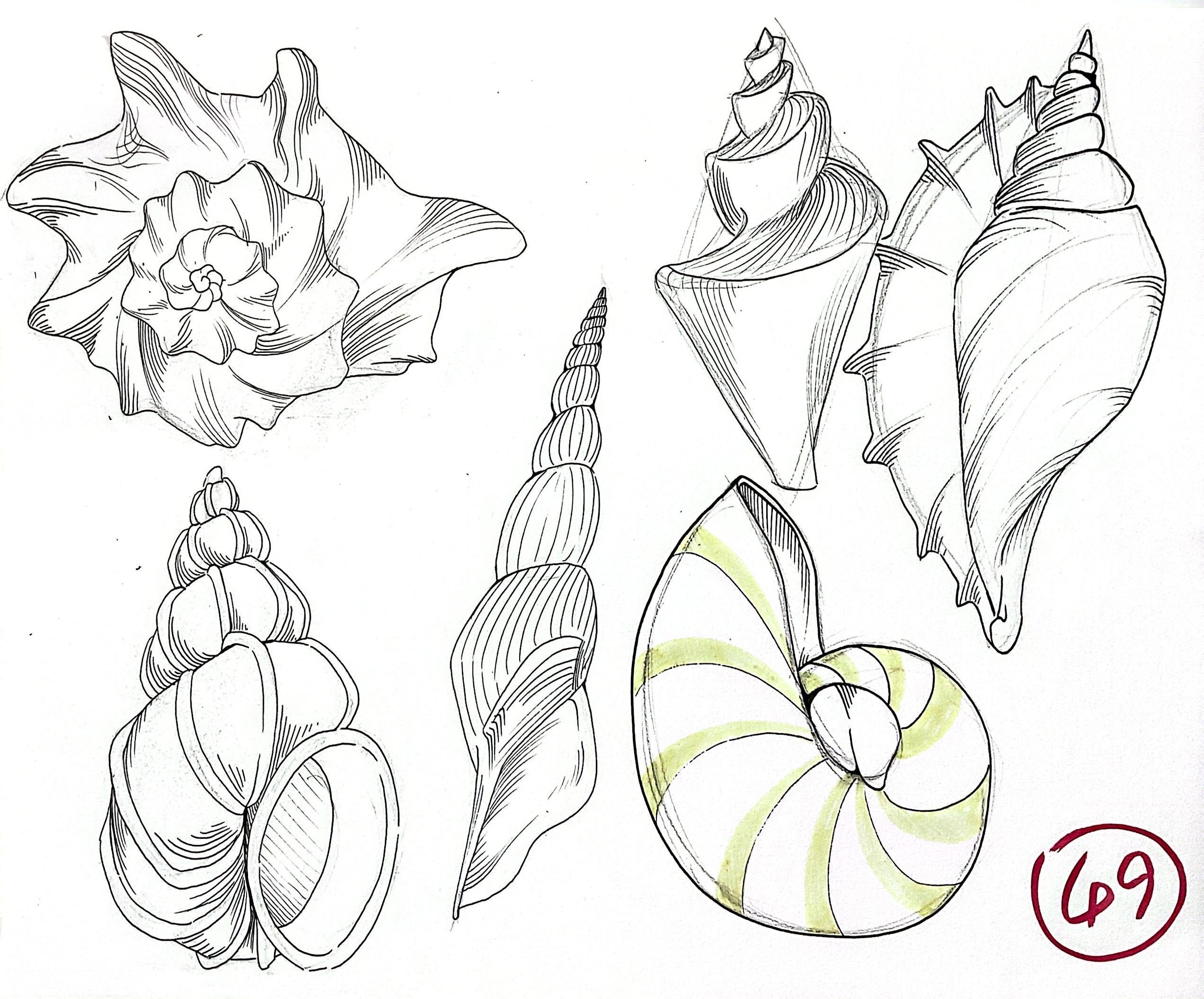 扫描全能王 2025-11-13 04.04_8.jpeg