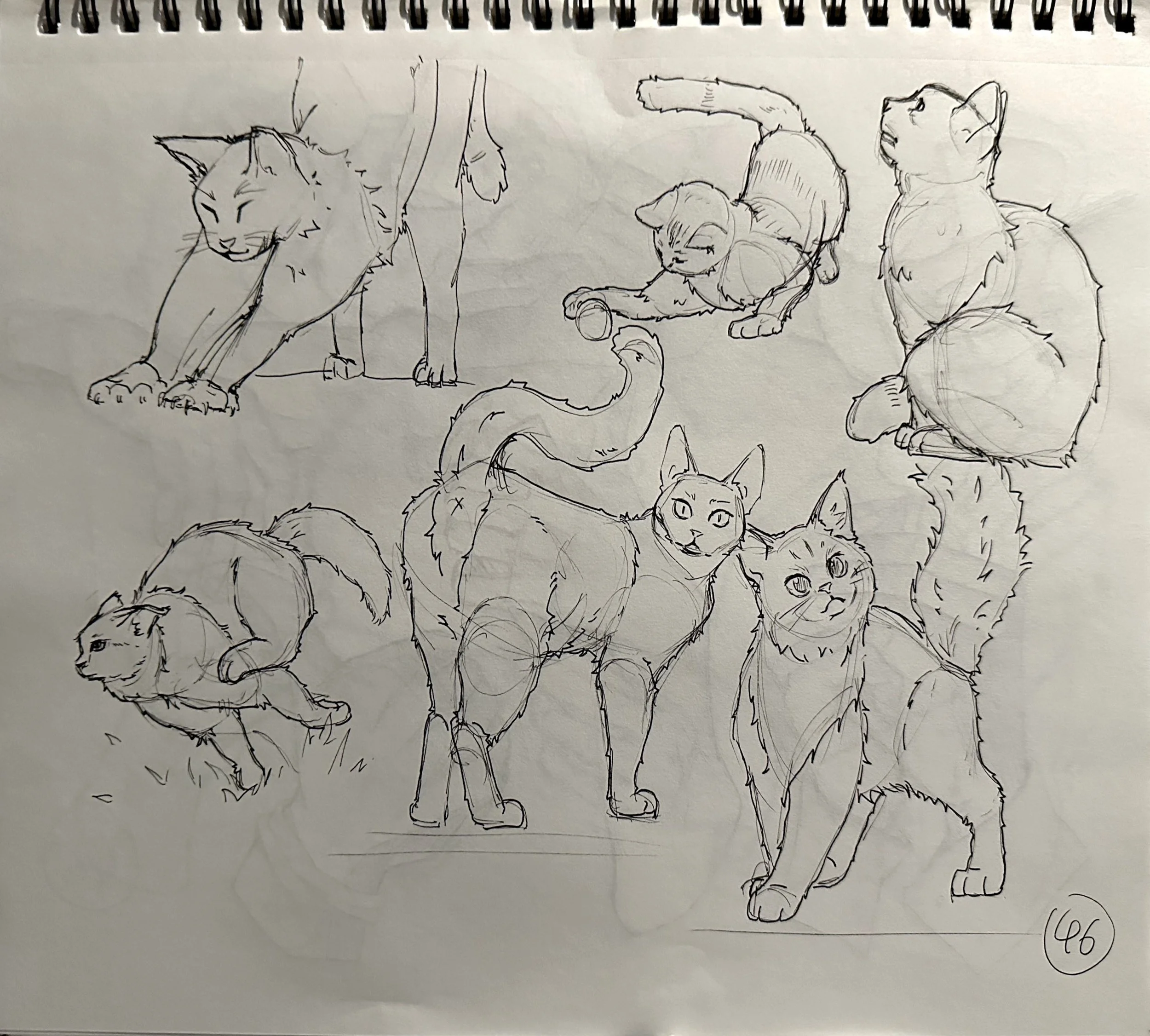 扫描全能王 2025-04-26 17.08_6.jpeg