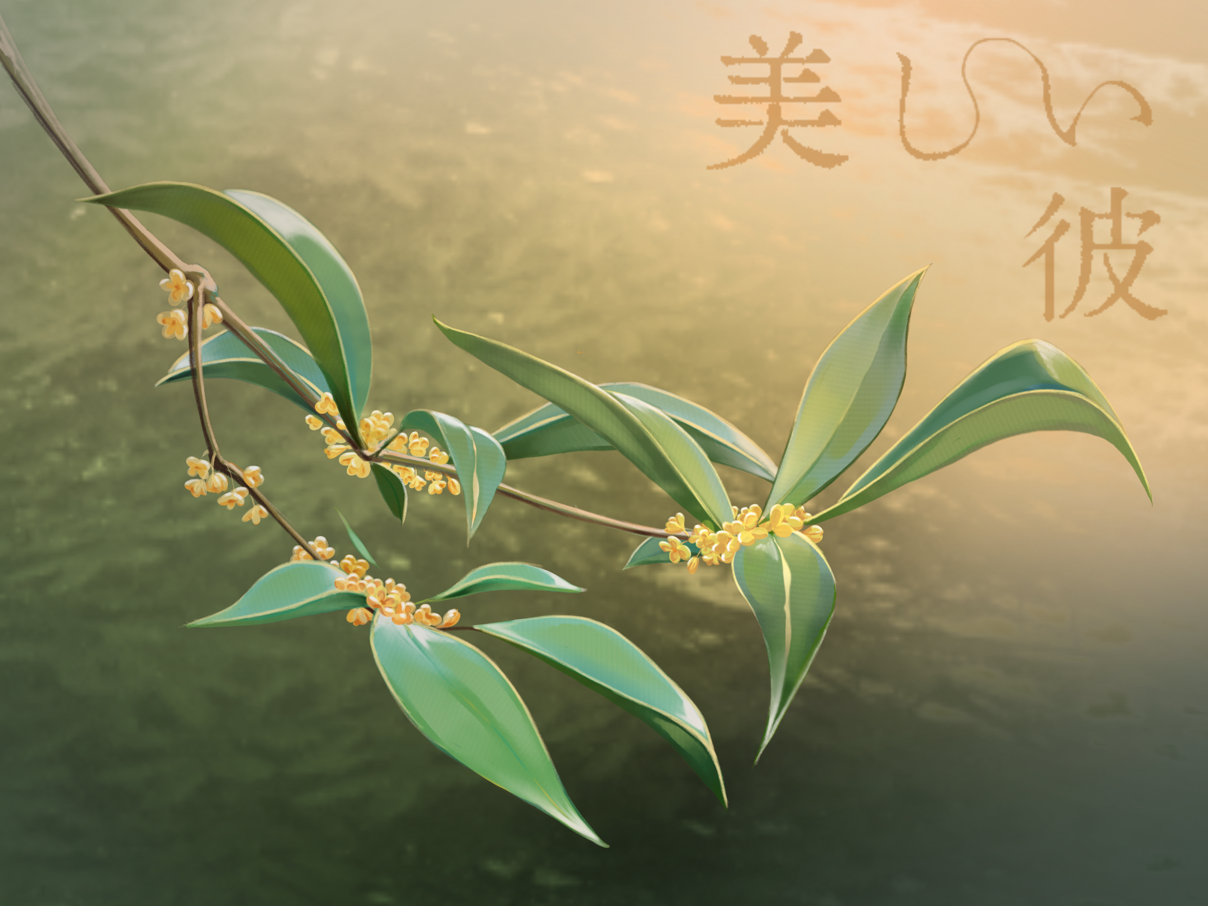IMG_1314.png