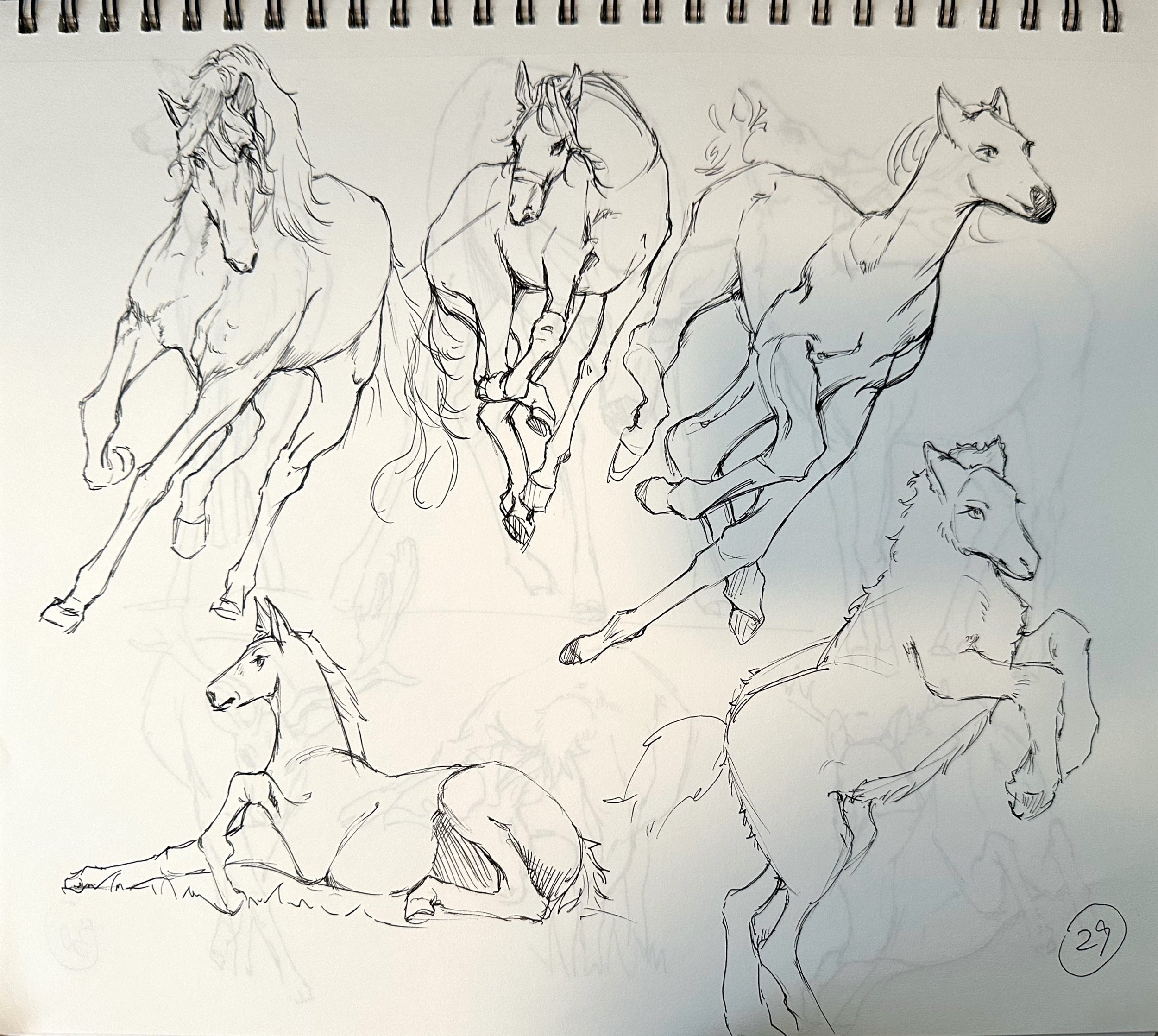 扫描全能王 2025-04-15 03.17_9.jpeg