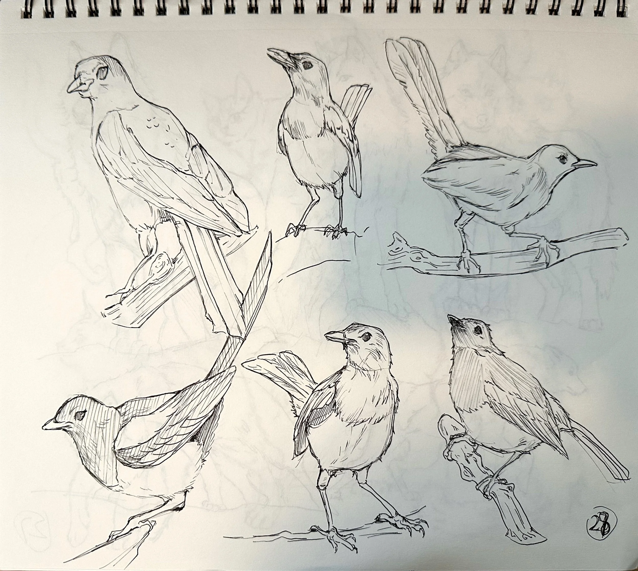 扫描全能王 2025-04-15 03.17_8.jpeg