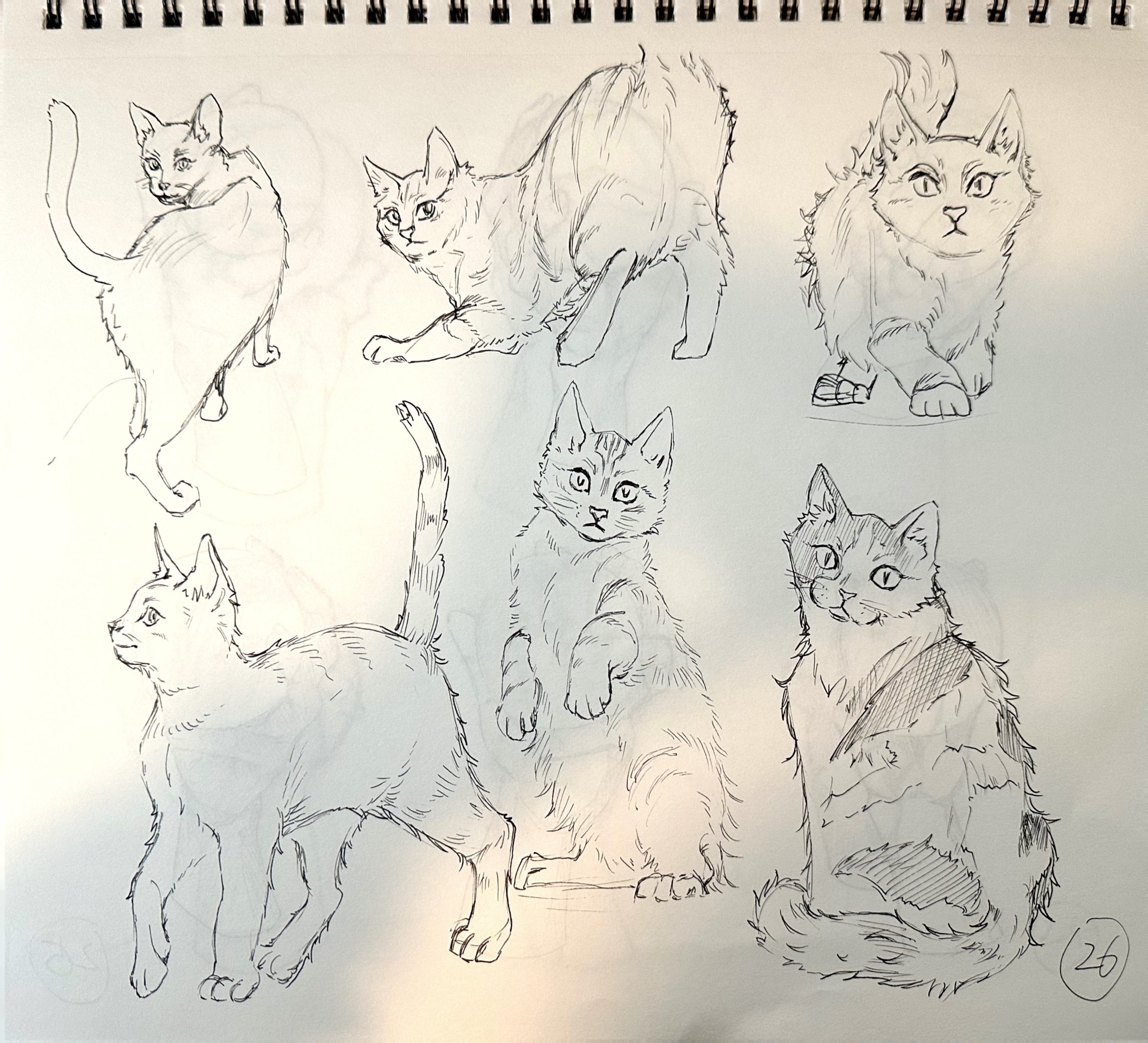 扫描全能王 2025-04-15 03.17_6.jpeg