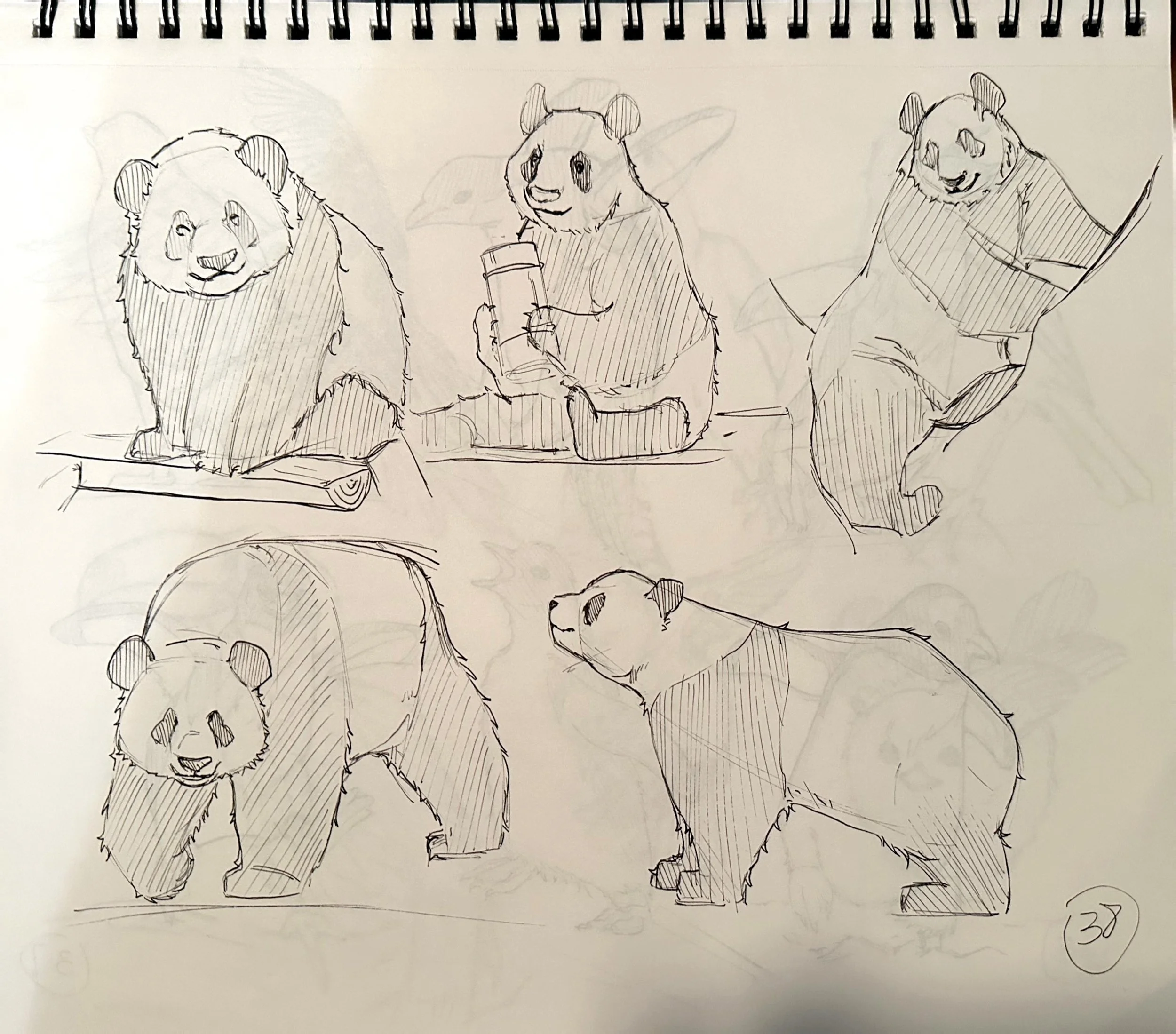 扫描全能王 2025-04-18 21.14_8.jpeg