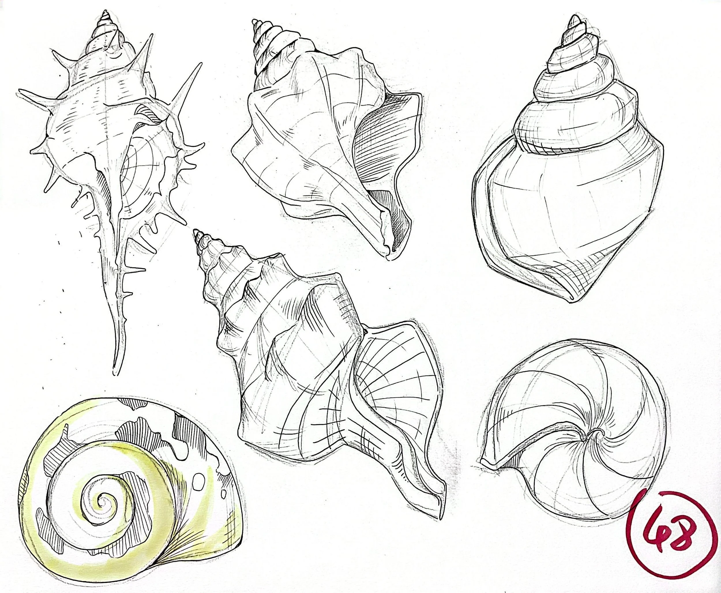 扫描全能王 2025-11-13 04.04_7.jpeg