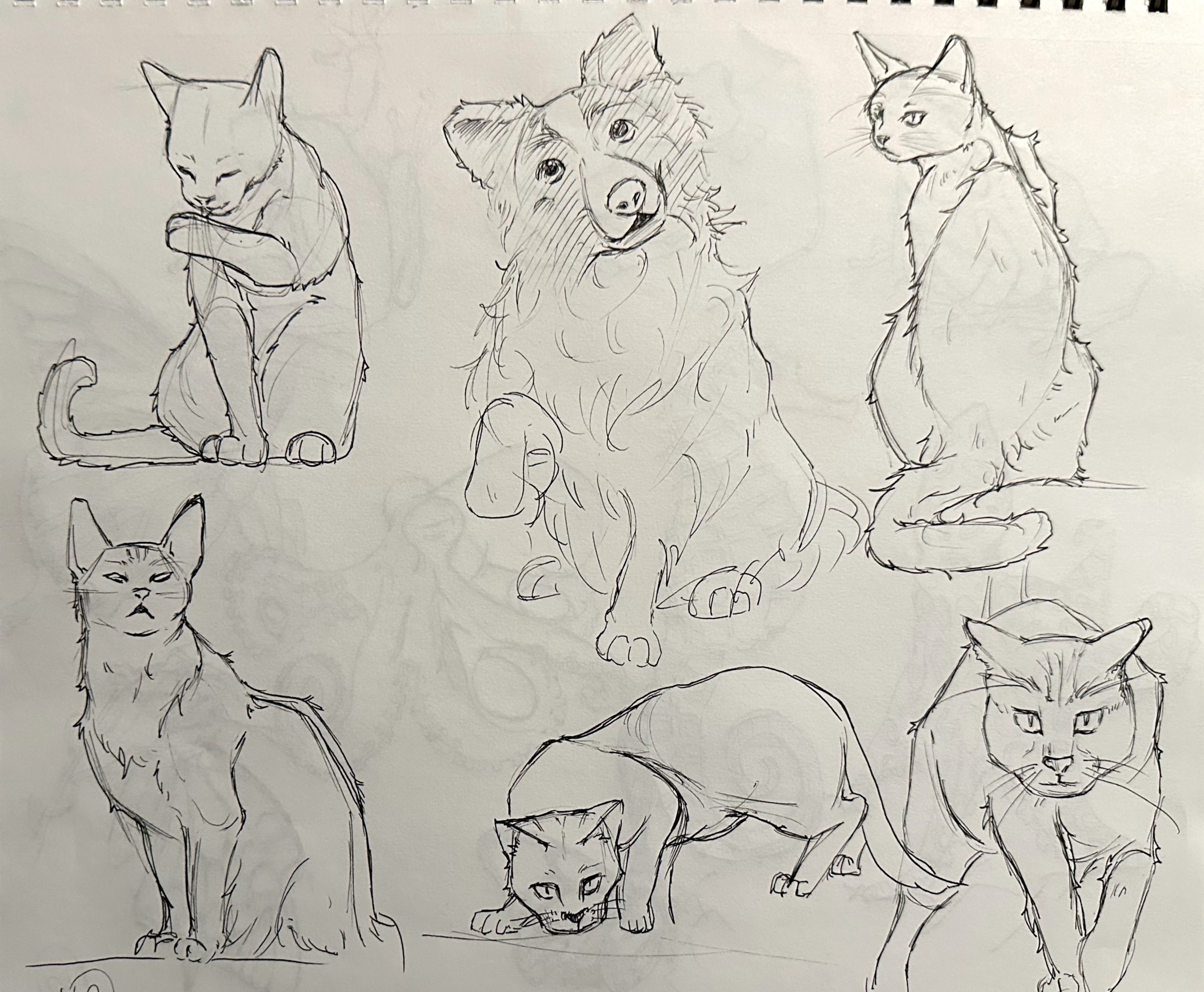 扫描全能王 2025-04-26 17.08_9.jpeg