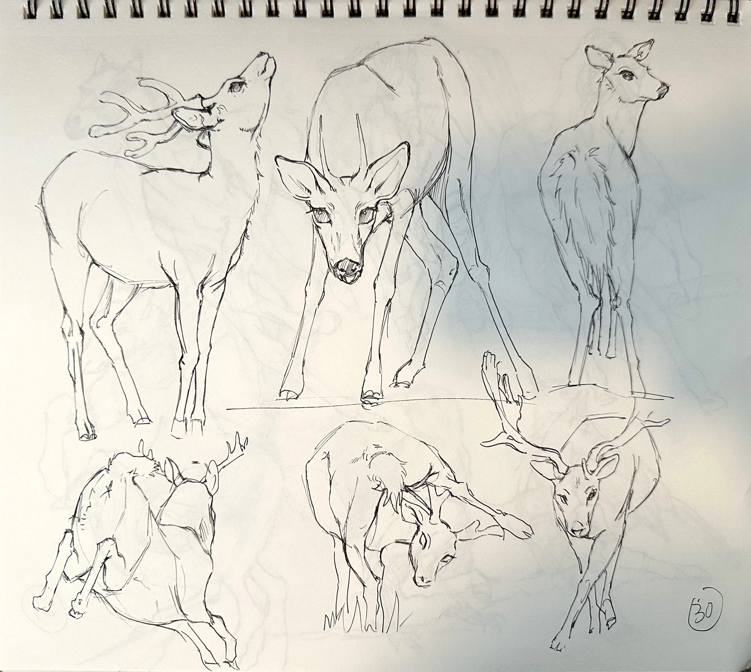 扫描全能王 2025-04-15 03.17_10.jpeg