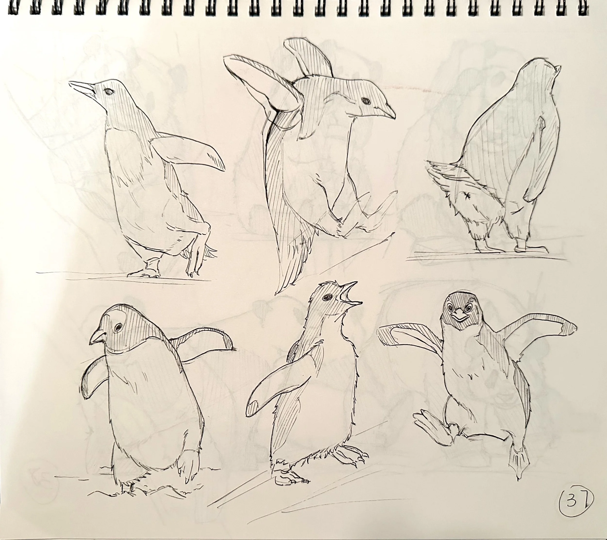 扫描全能王 2025-04-18 21.14_7.jpeg