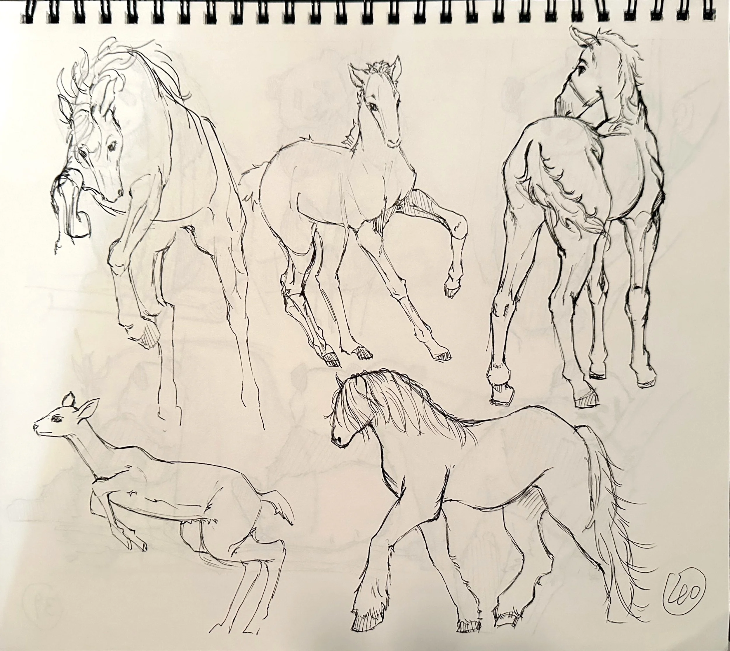 扫描全能王 2025-04-18 21.14_10.jpeg
