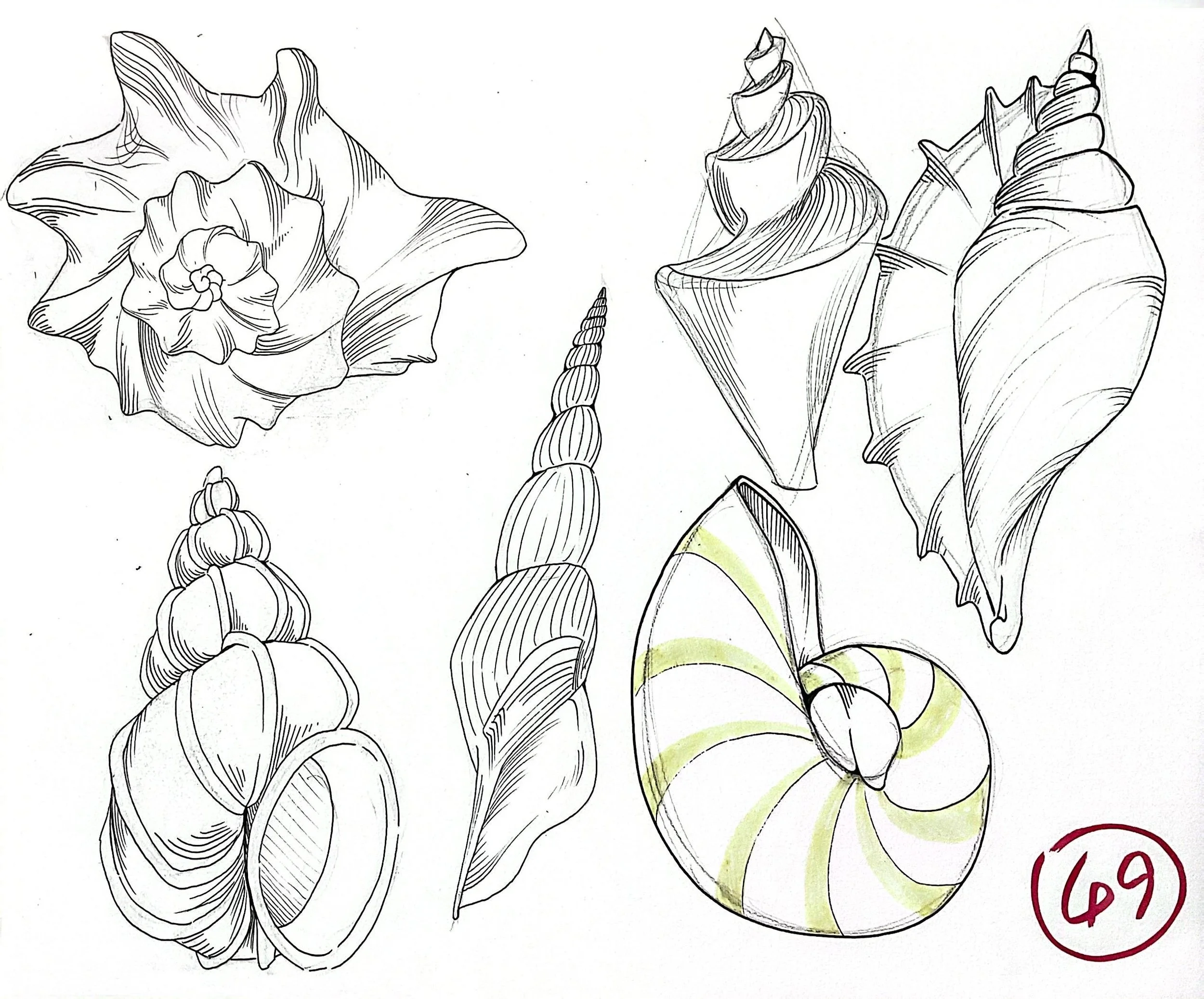 扫描全能王 2025-11-13 04.04_8.jpeg