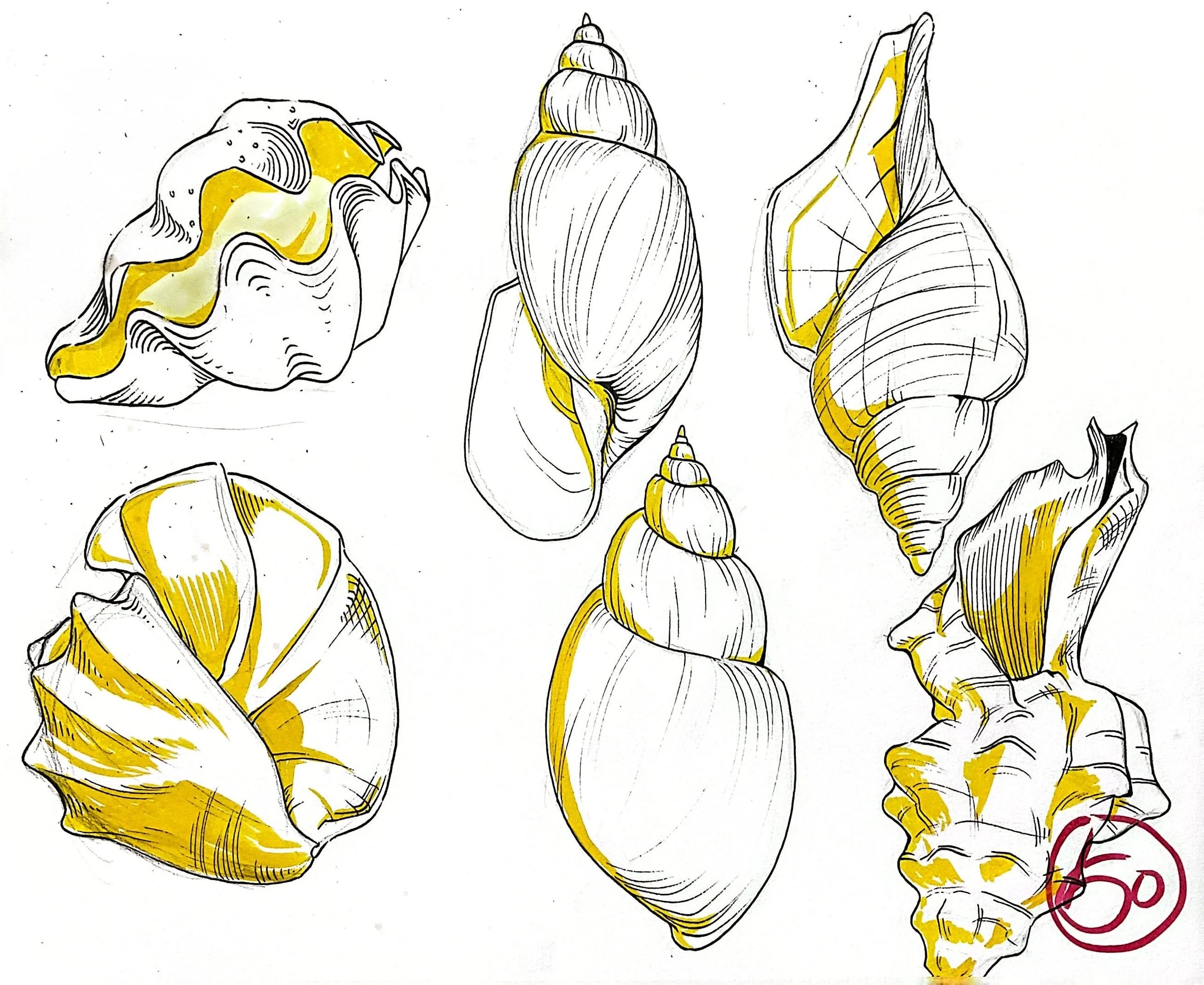 扫描全能王 2025-11-13 04.04_9.jpeg
